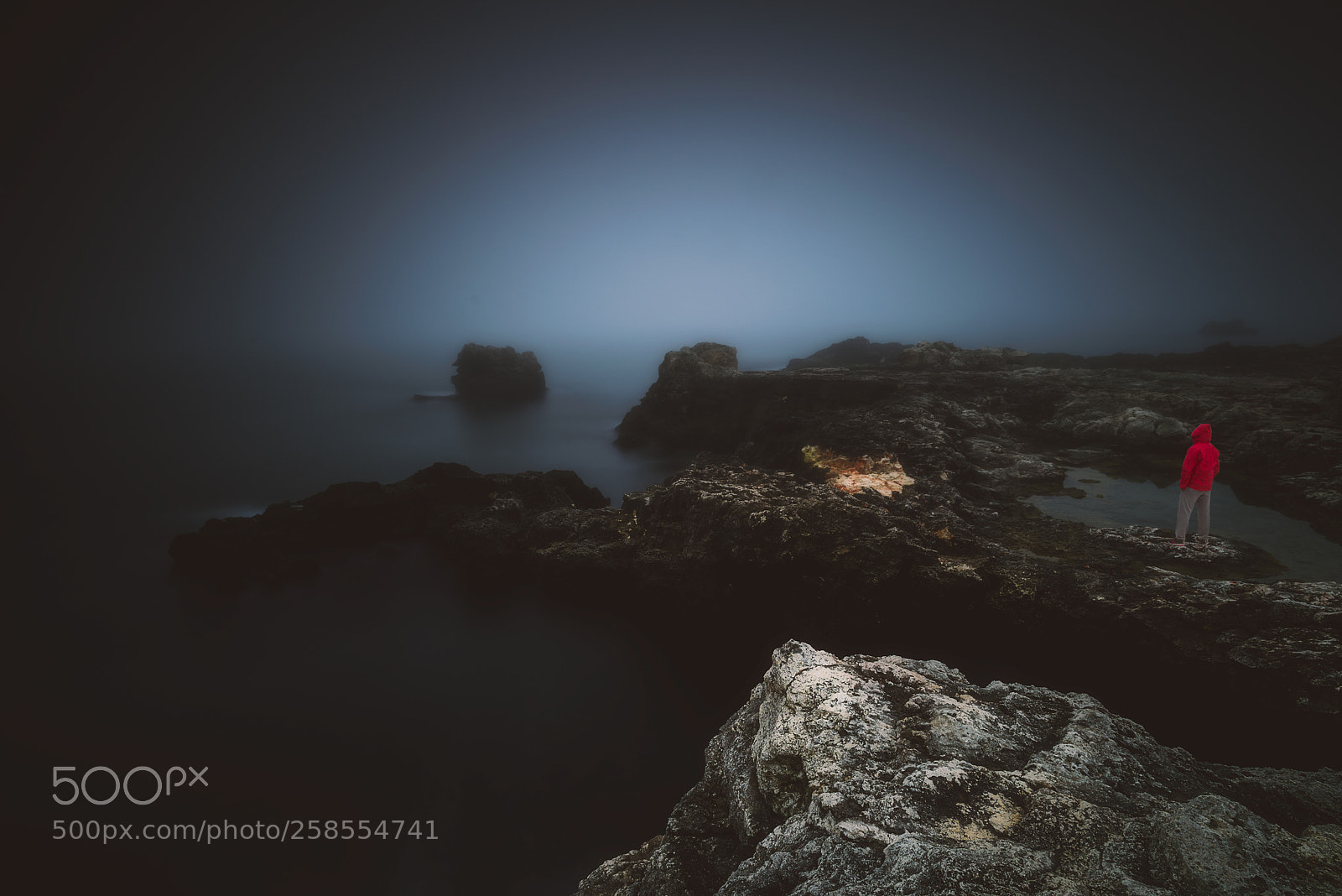 Nikon D810 sample photo. Mist photography