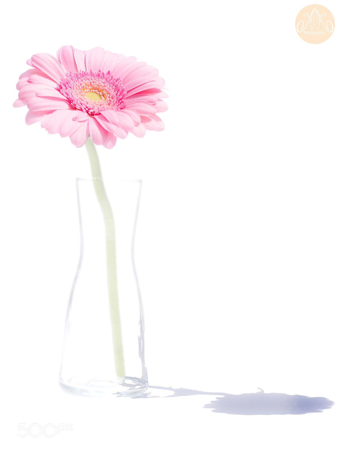 Canon EOS 6D Mark II sample photo. Pink photography