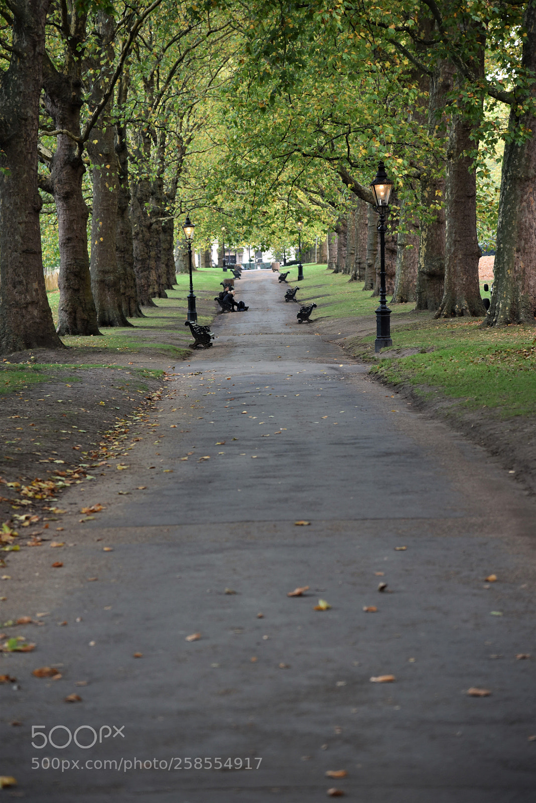 Nikon D750 sample photo. Hyde park photography