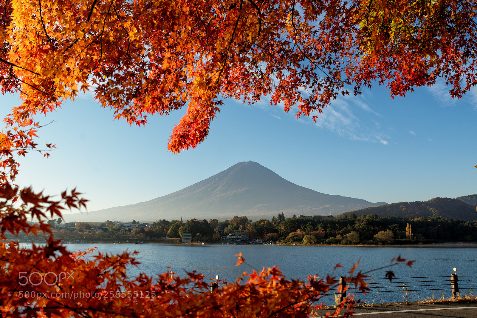 Nikon D610 sample photo. Mt.fuji in autumn on photography