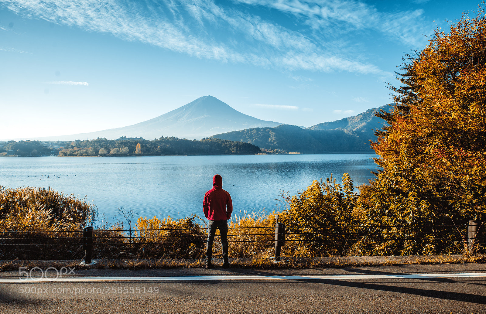 Nikon D610 sample photo. Mt.fuji in autumn on photography