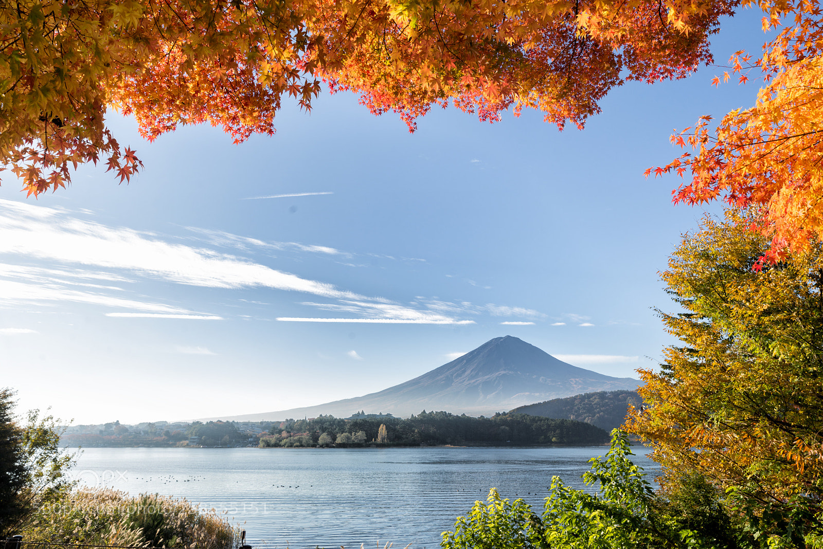 Nikon D610 sample photo. Mt.fuji in autumn on photography