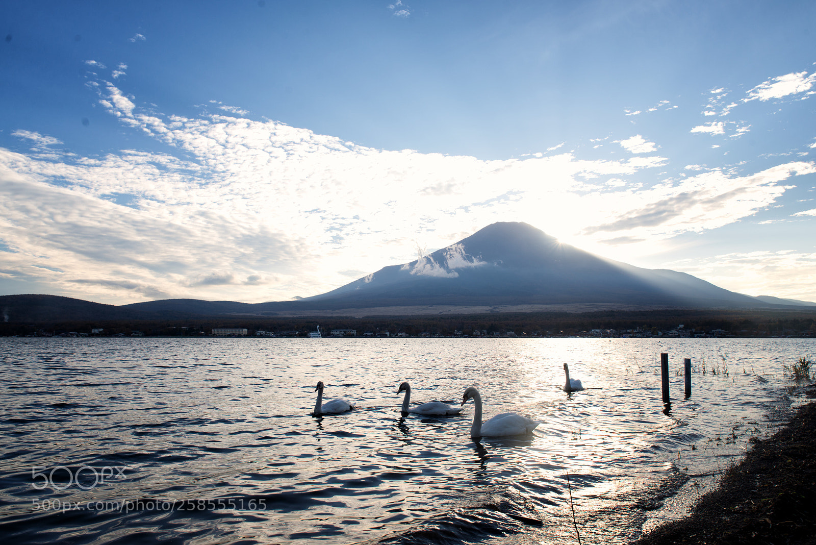 Nikon D610 sample photo. Mt.fuji in autumn on photography