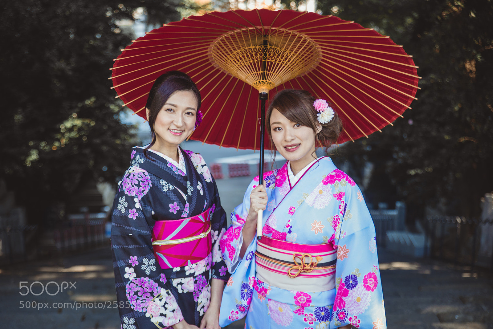 Nikon D610 sample photo. Japanese women with kimono photography
