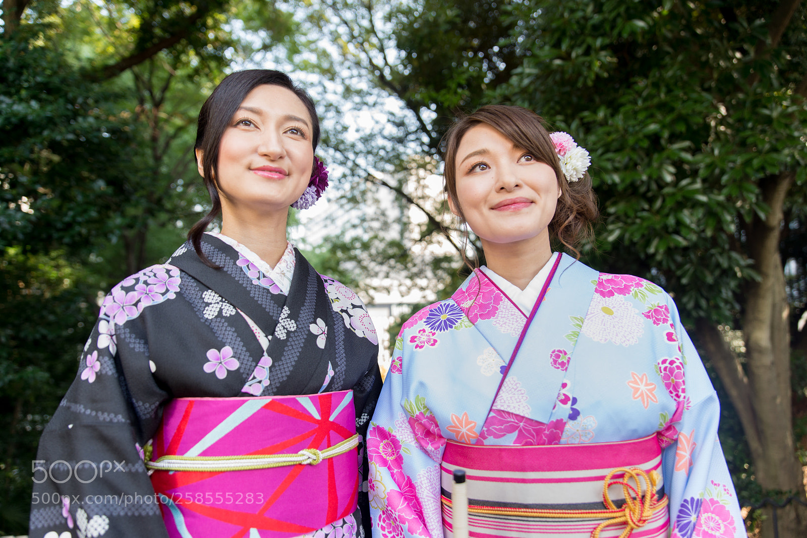 Nikon D610 sample photo. Japanese women with kimono photography
