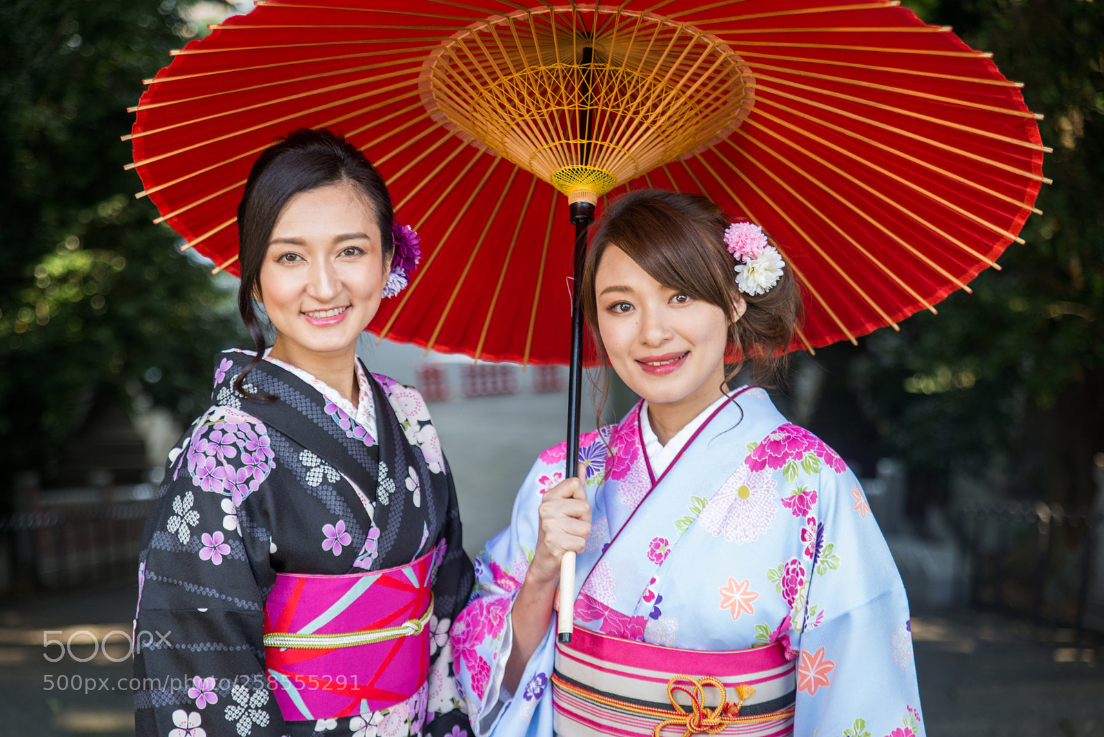 Nikon D610 sample photo. Japanese women with kimono photography