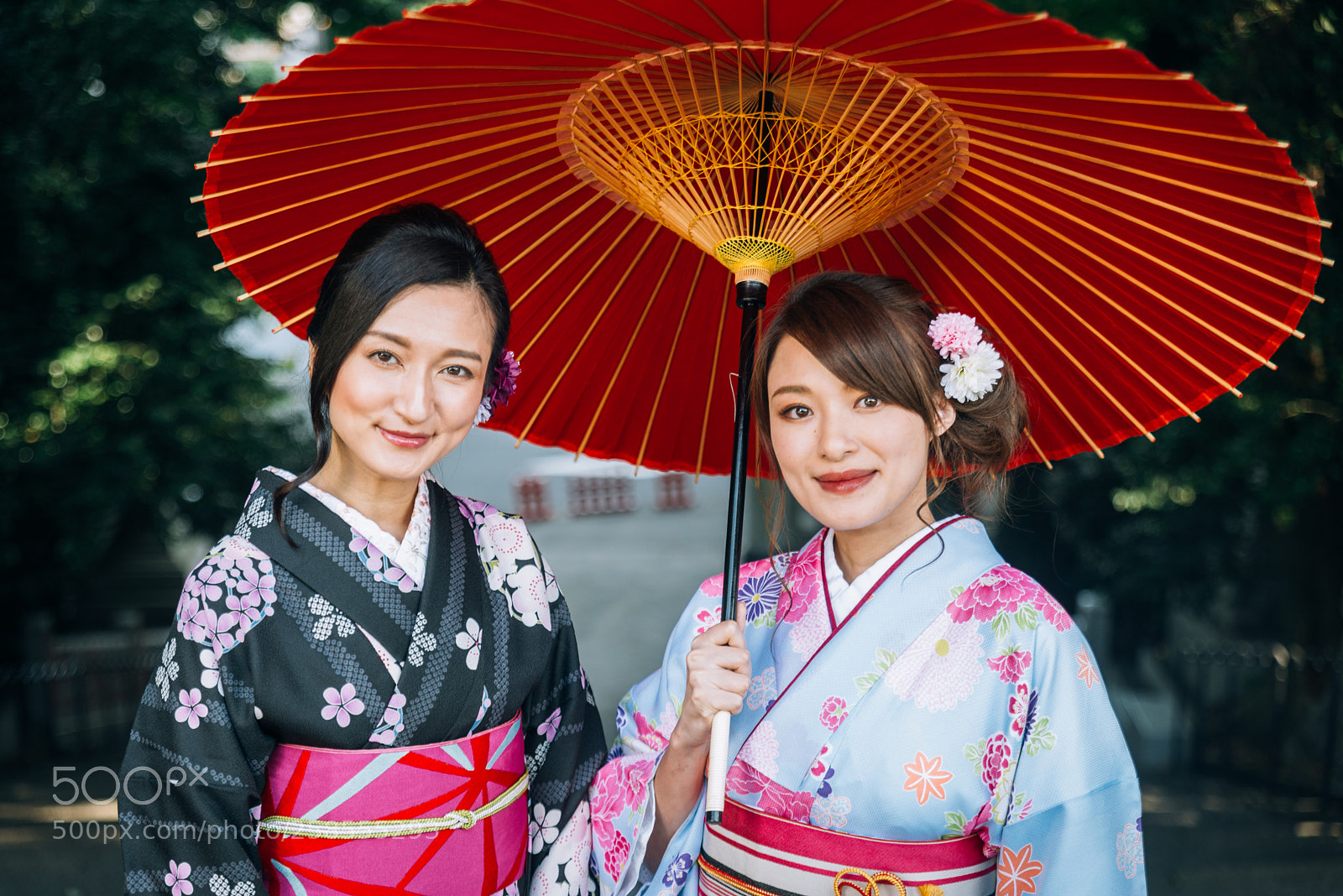 Nikon D610 sample photo. Japanese women with kimono photography