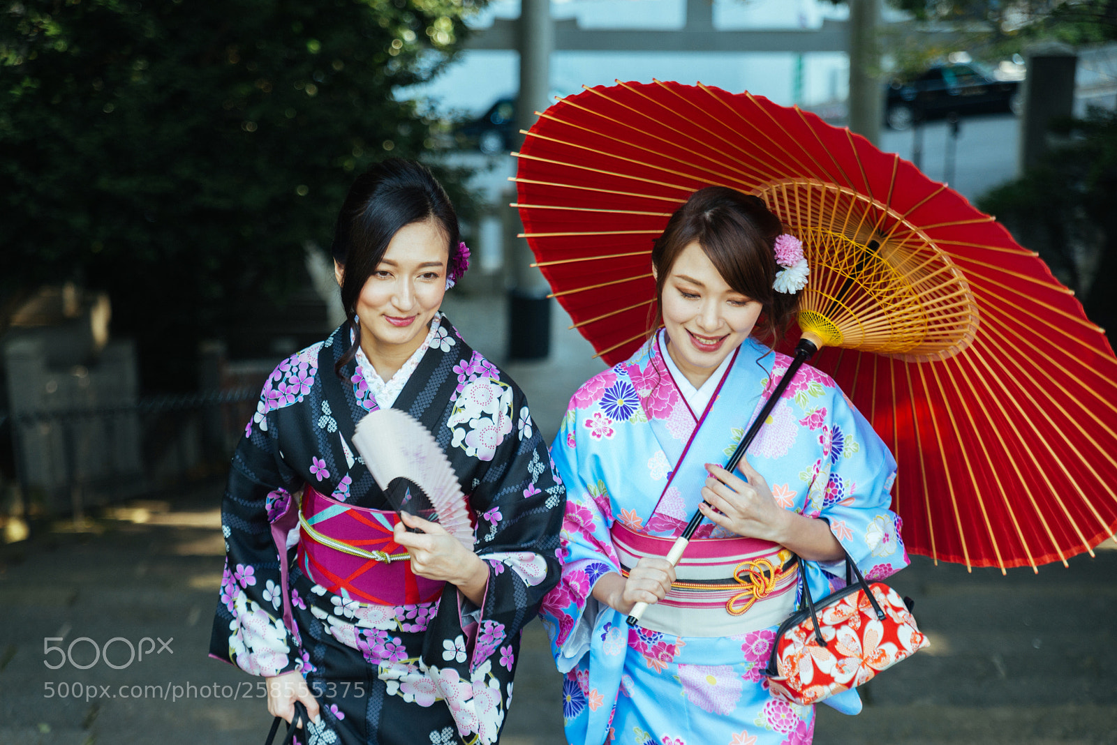 Nikon D610 sample photo. Japanese women with kimono photography
