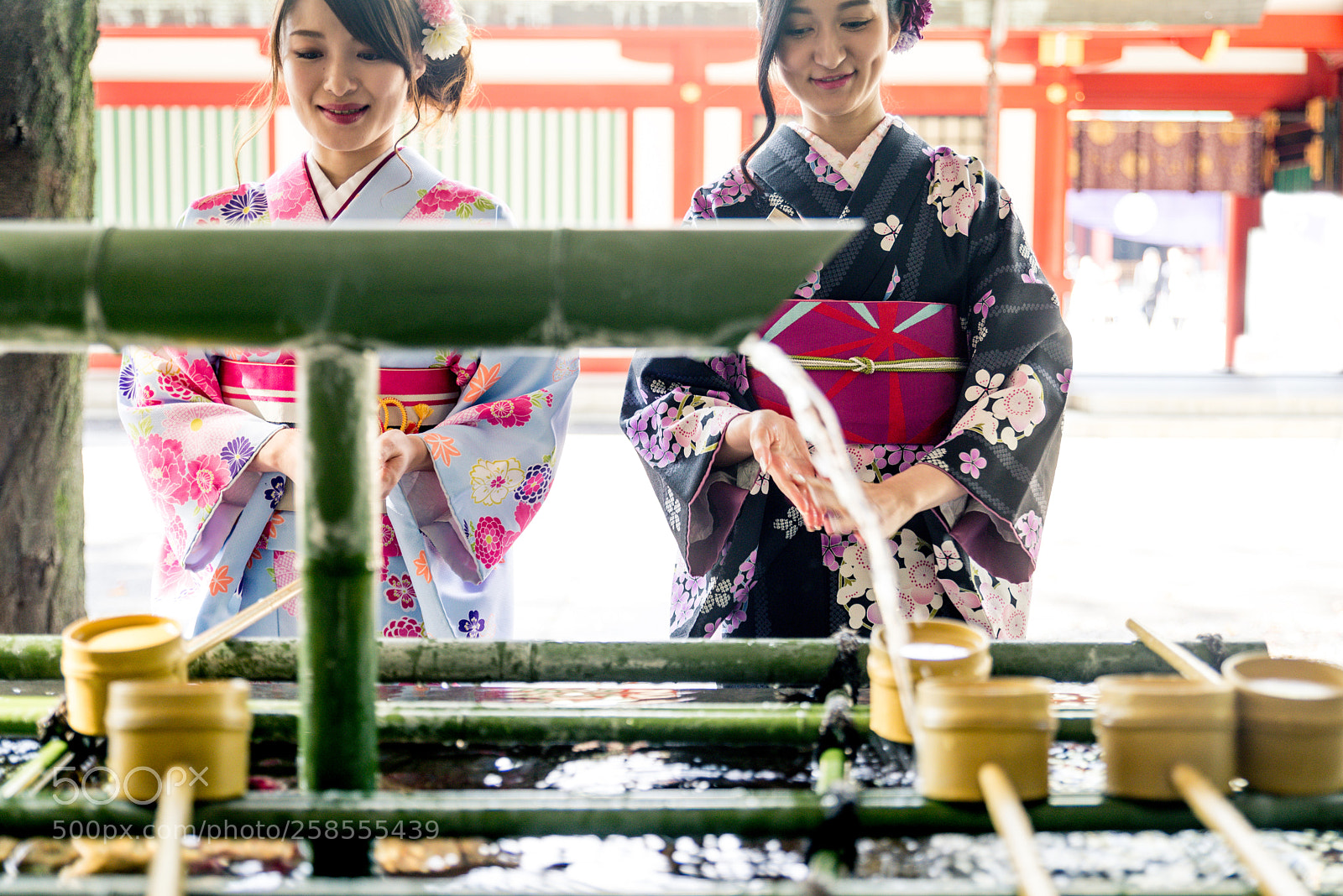Nikon D610 sample photo. Japanese women with kimono photography