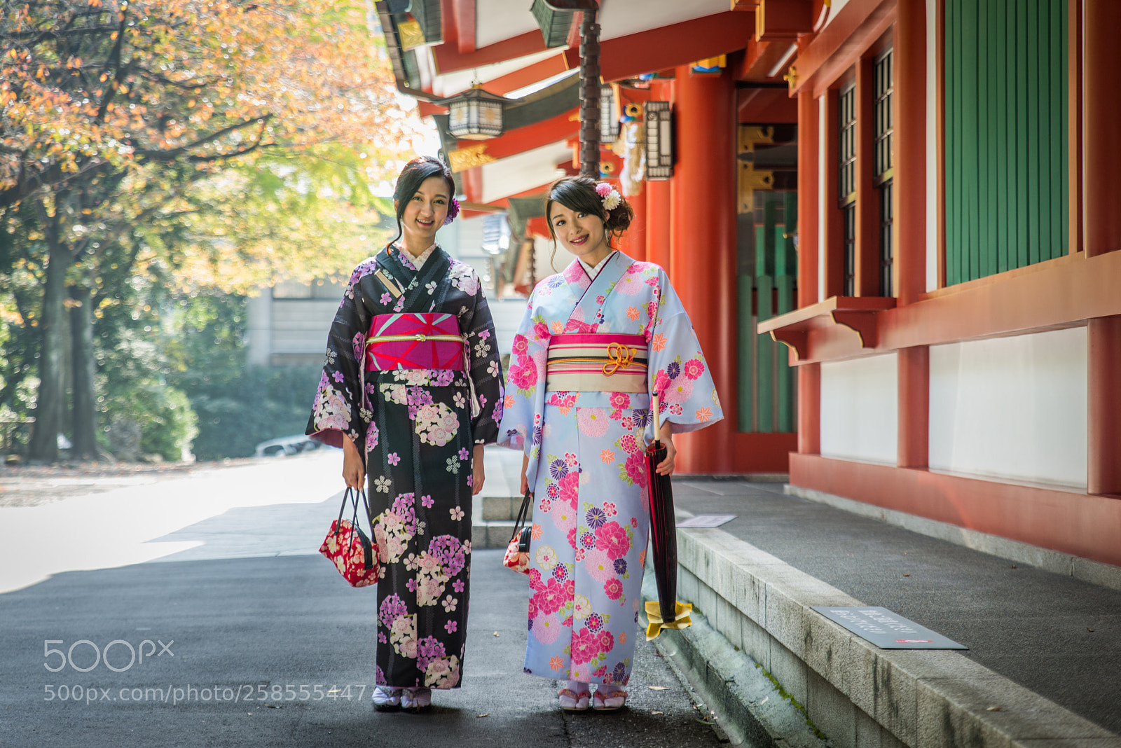 Nikon D610 sample photo. Japanese women with kimono photography