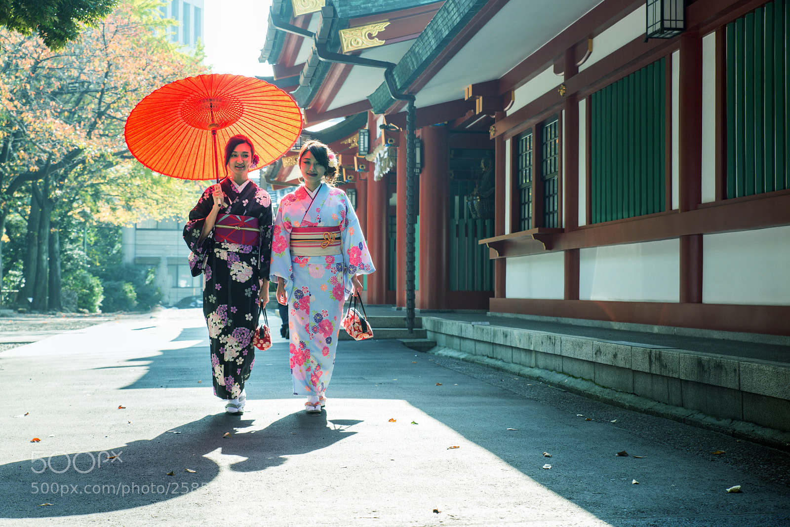 Nikon D610 sample photo. Japanese women with kimono photography