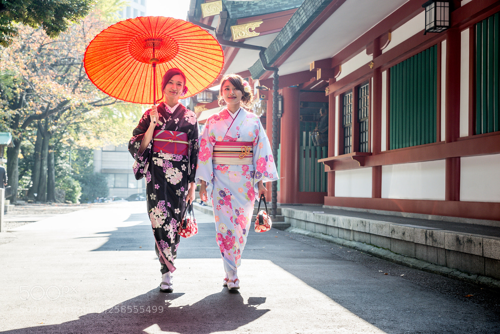 Nikon D610 sample photo. Japanese women with kimono photography