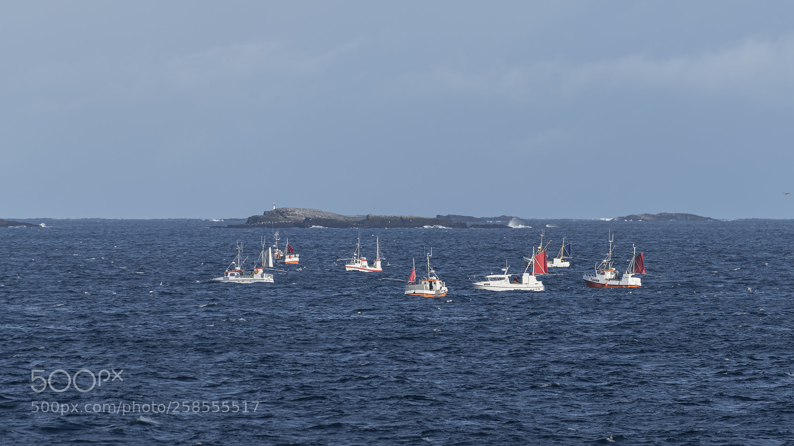 Nikon D850 sample photo. Fiskeb ter p r photography