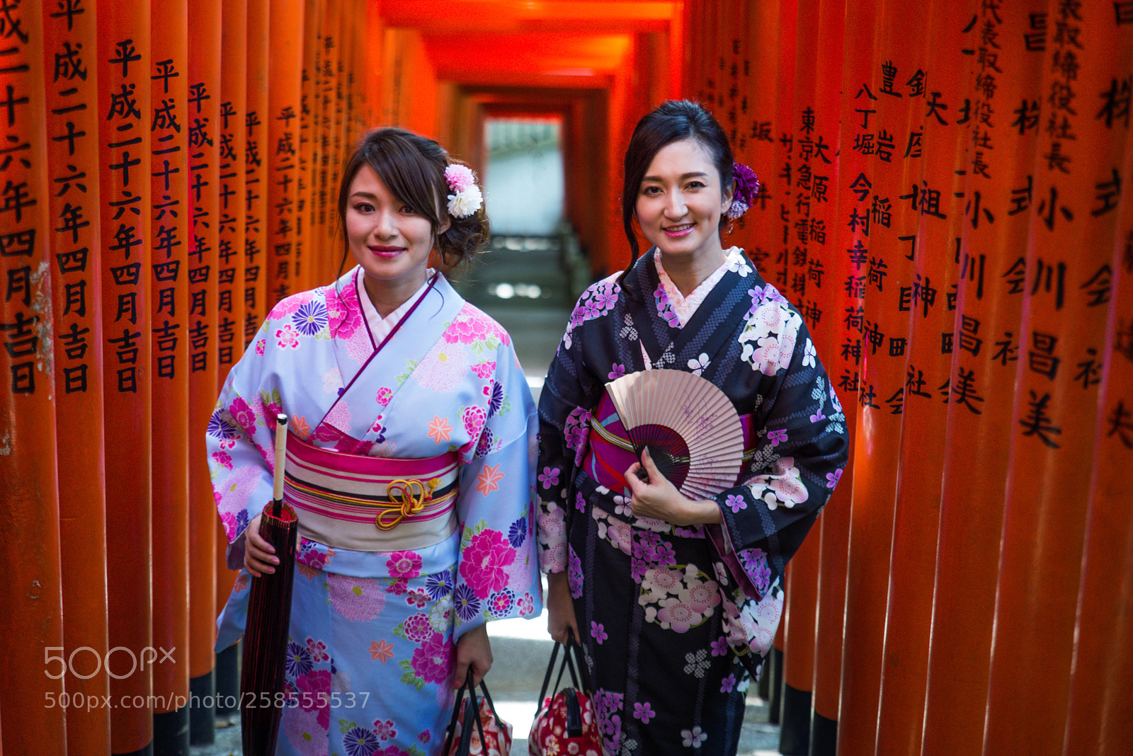 Nikon D610 sample photo. Japanese women with kimono photography
