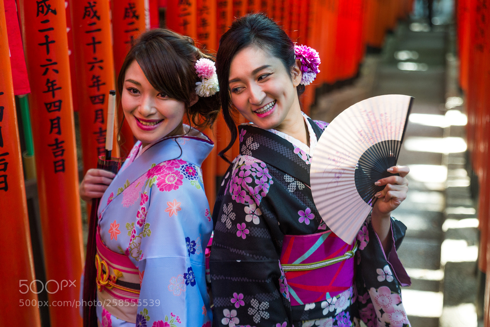 Nikon D610 sample photo. Japanese women with kimono photography