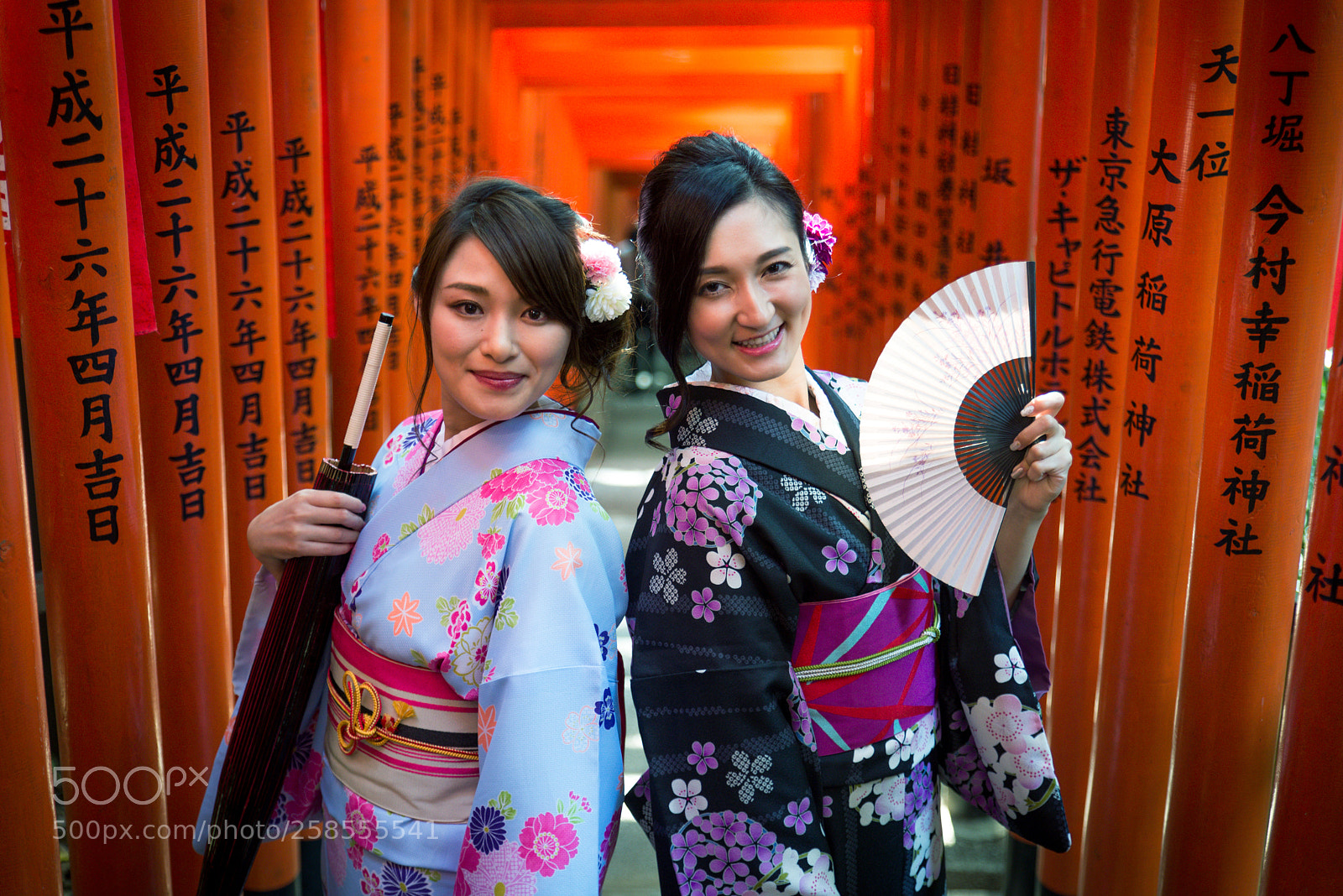 Nikon D610 sample photo. Japanese women with kimono photography