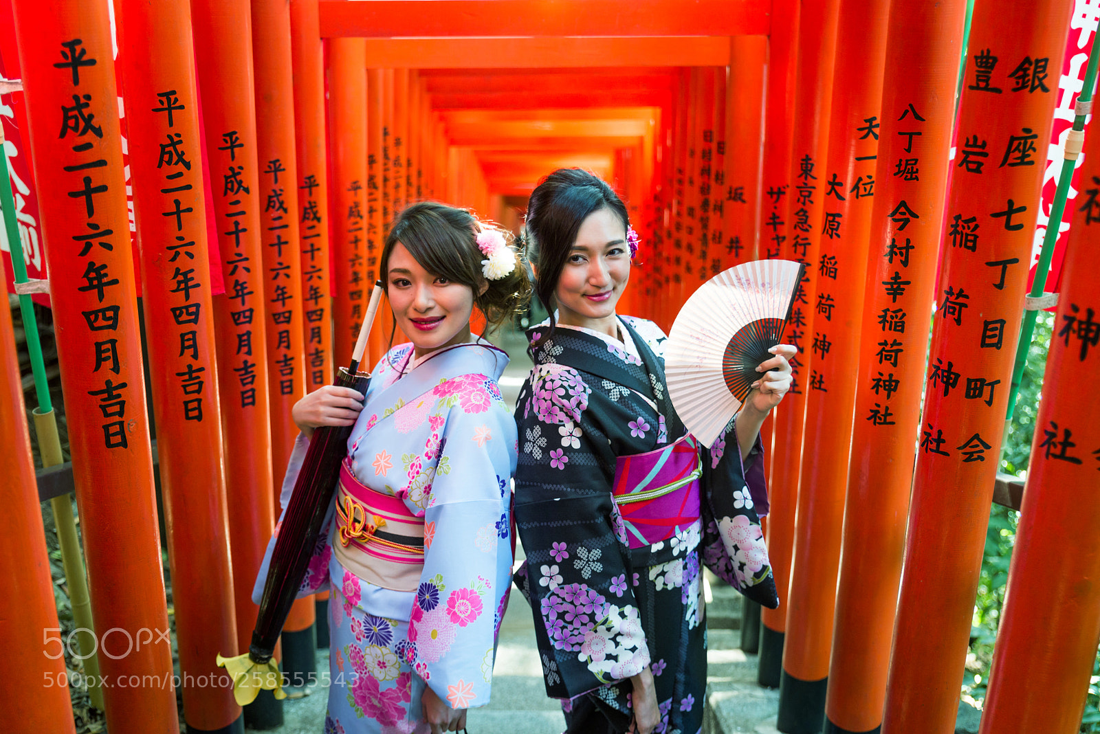 Nikon D610 sample photo. Japanese women with kimono photography