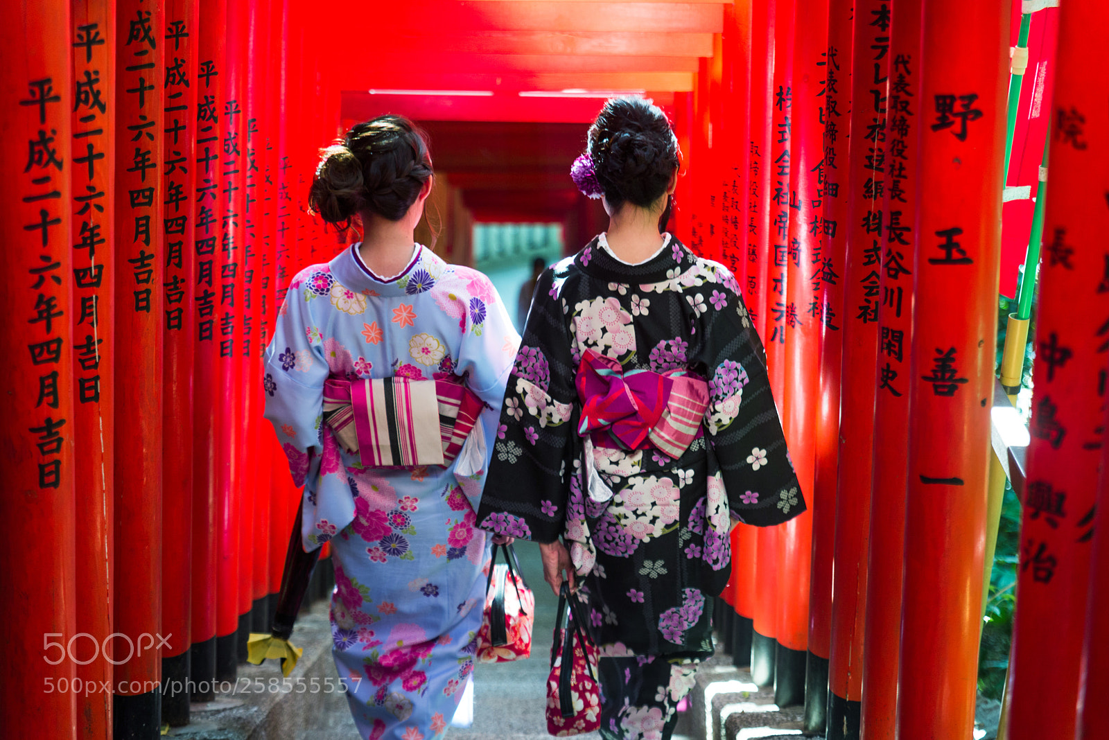 Nikon D610 sample photo. Japanese women with kimono photography