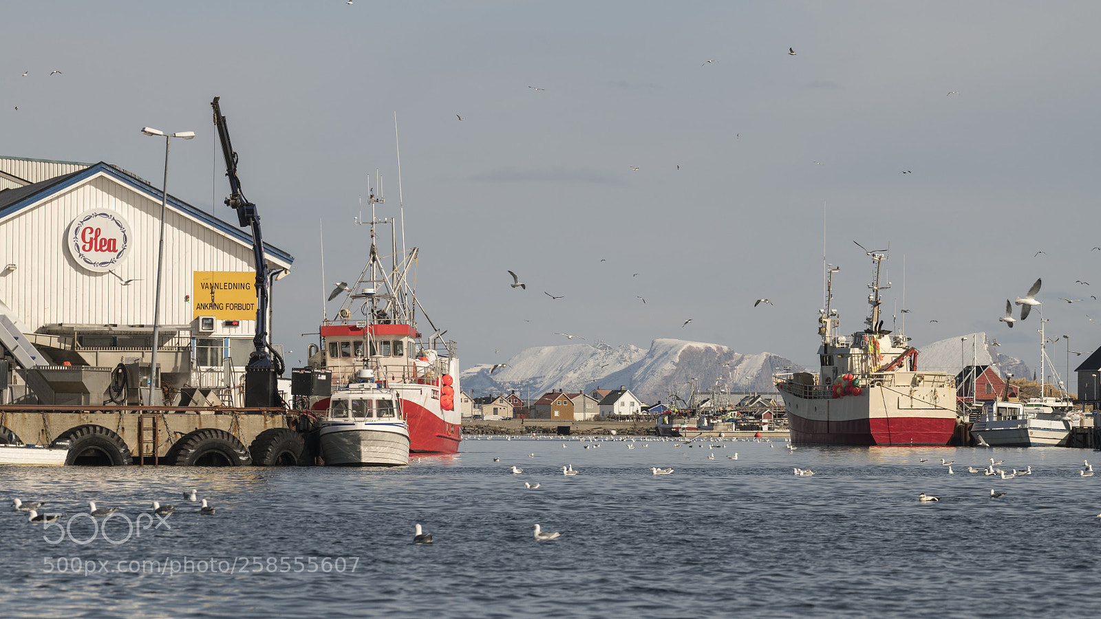 Nikon D850 sample photo. Røst havn photography