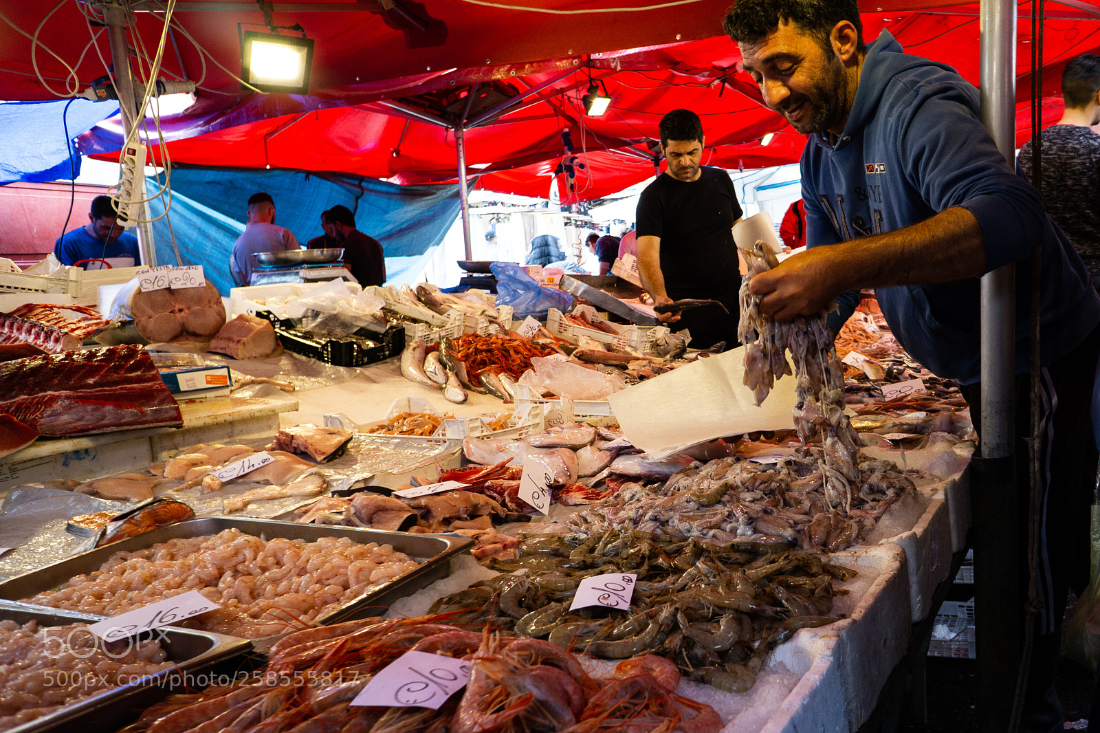 Sony a6000 sample photo. La bancarella del pesce photography