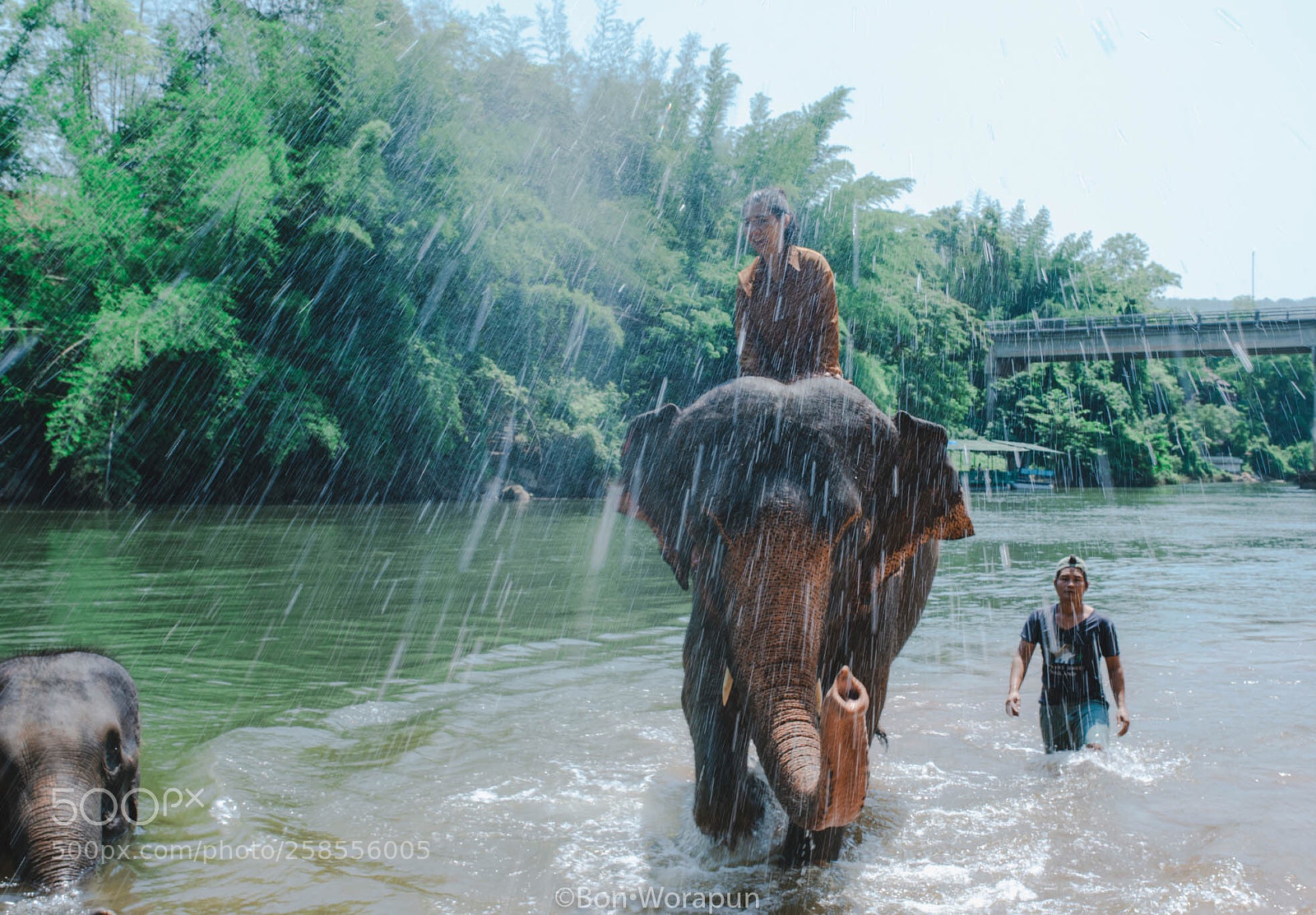 Nikon D750 sample photo. Ride an elephant on photography