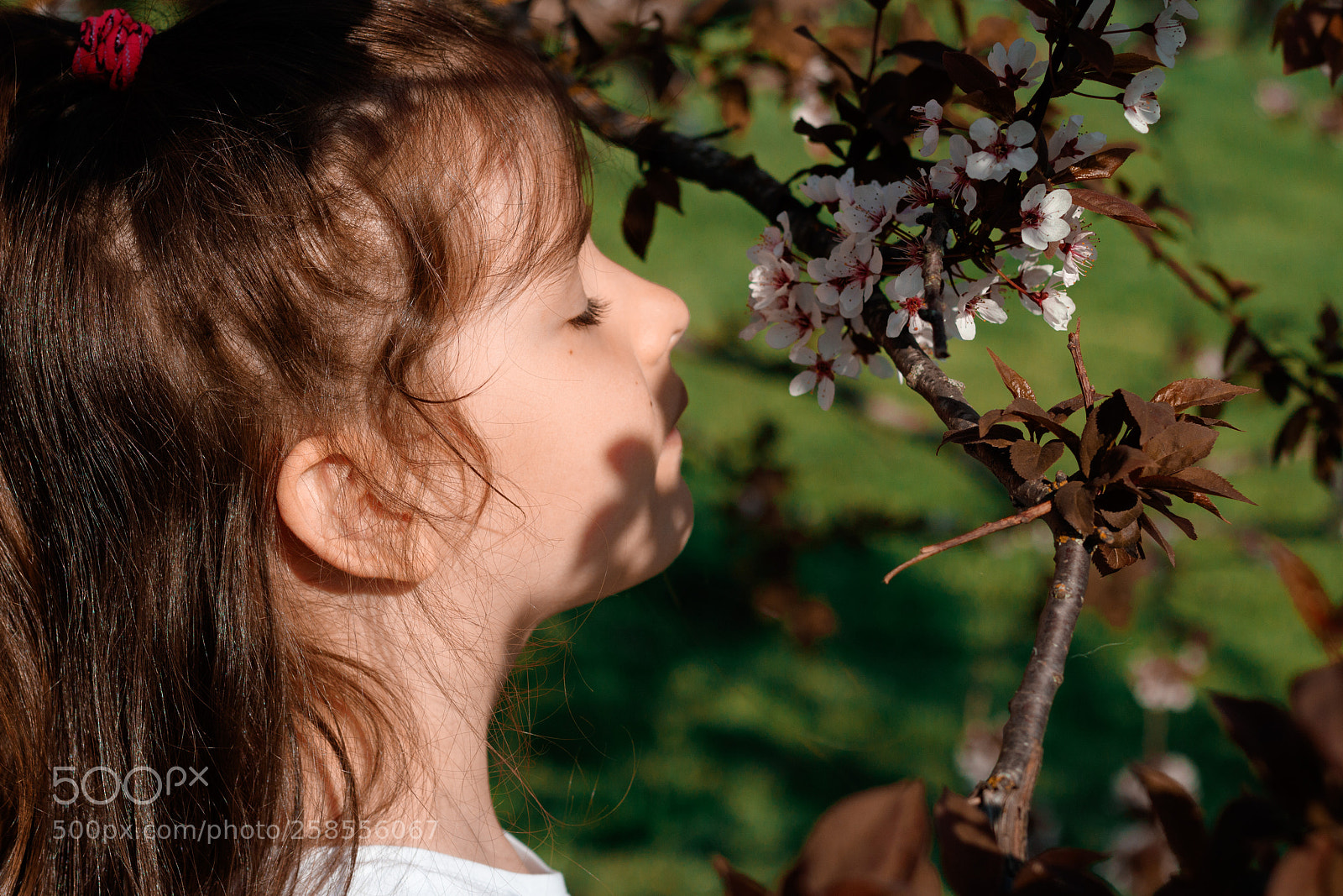 Canon EOS 760D (EOS Rebel T6s / EOS 8000D) sample photo. The little girl in photography