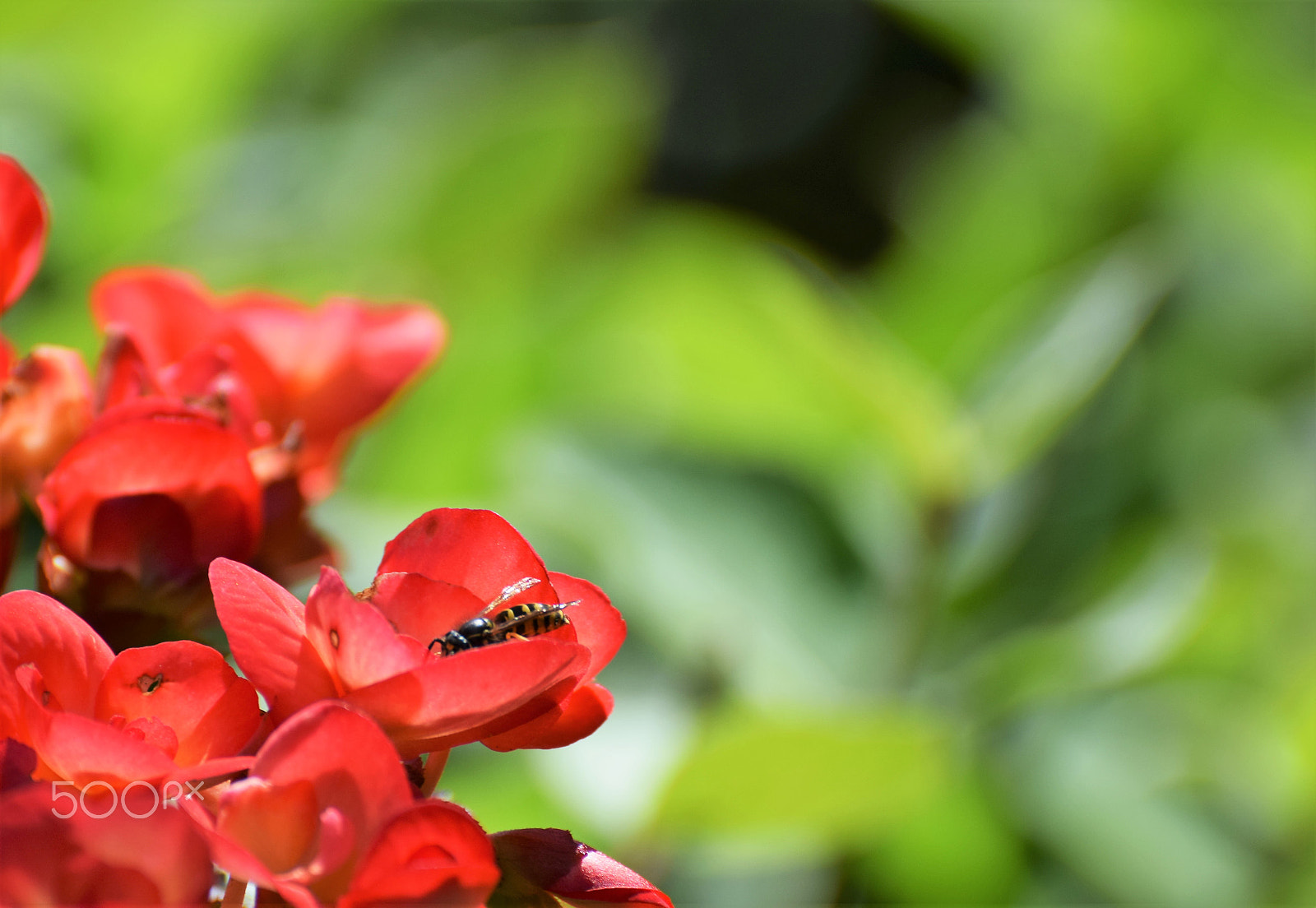 Nikon D5300 sample photo. Testing. photography