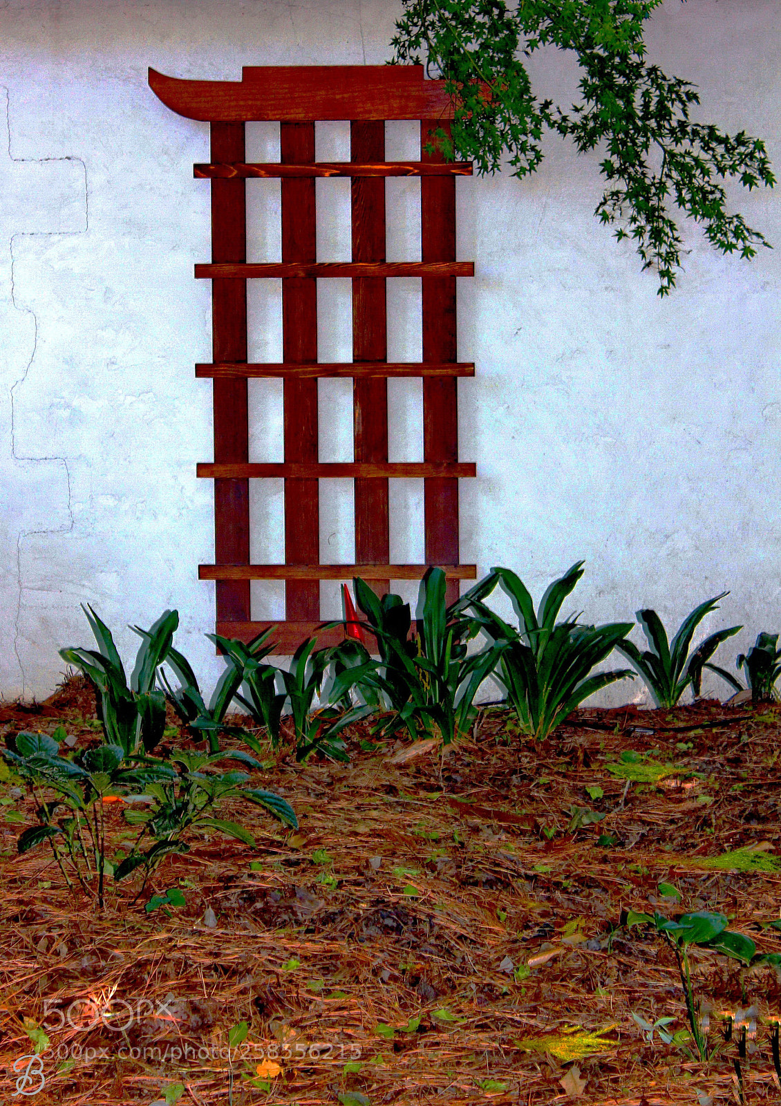 Canon EOS 550D (EOS Rebel T2i / EOS Kiss X4) sample photo. Against the wall photography