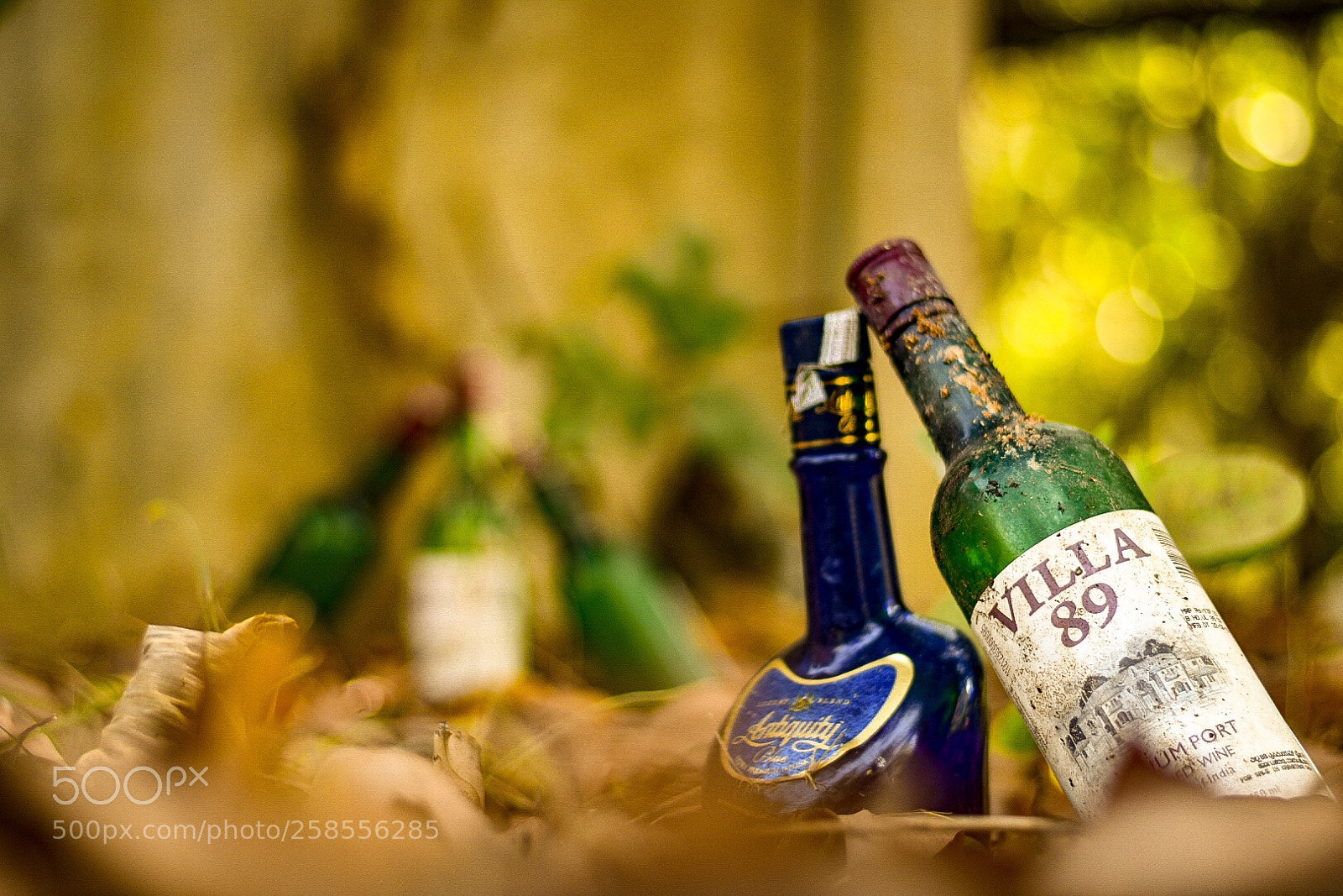Nikon D3400 sample photo. Friendship bottles  photography