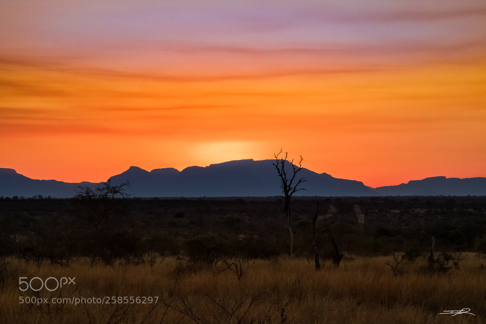 Canon EOS 750D (EOS Rebel T6i / EOS Kiss X8i) sample photo. Kruger park sunset photography