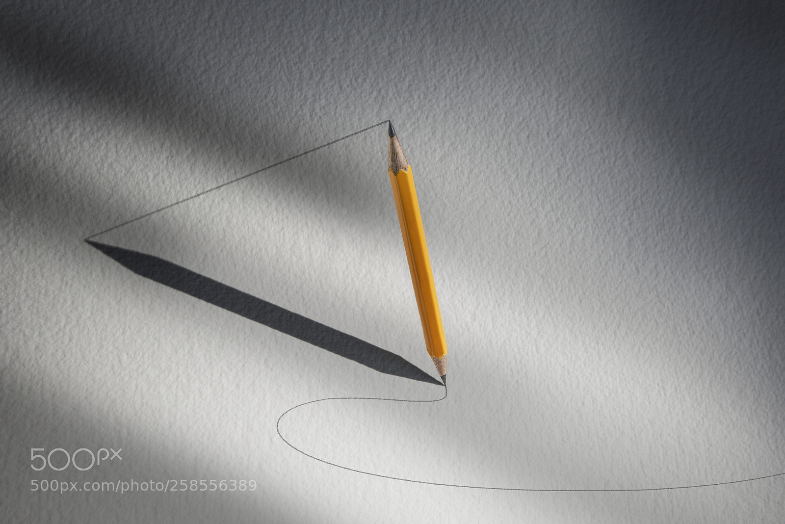 Nikon D810 sample photo. Geometry 101 photography