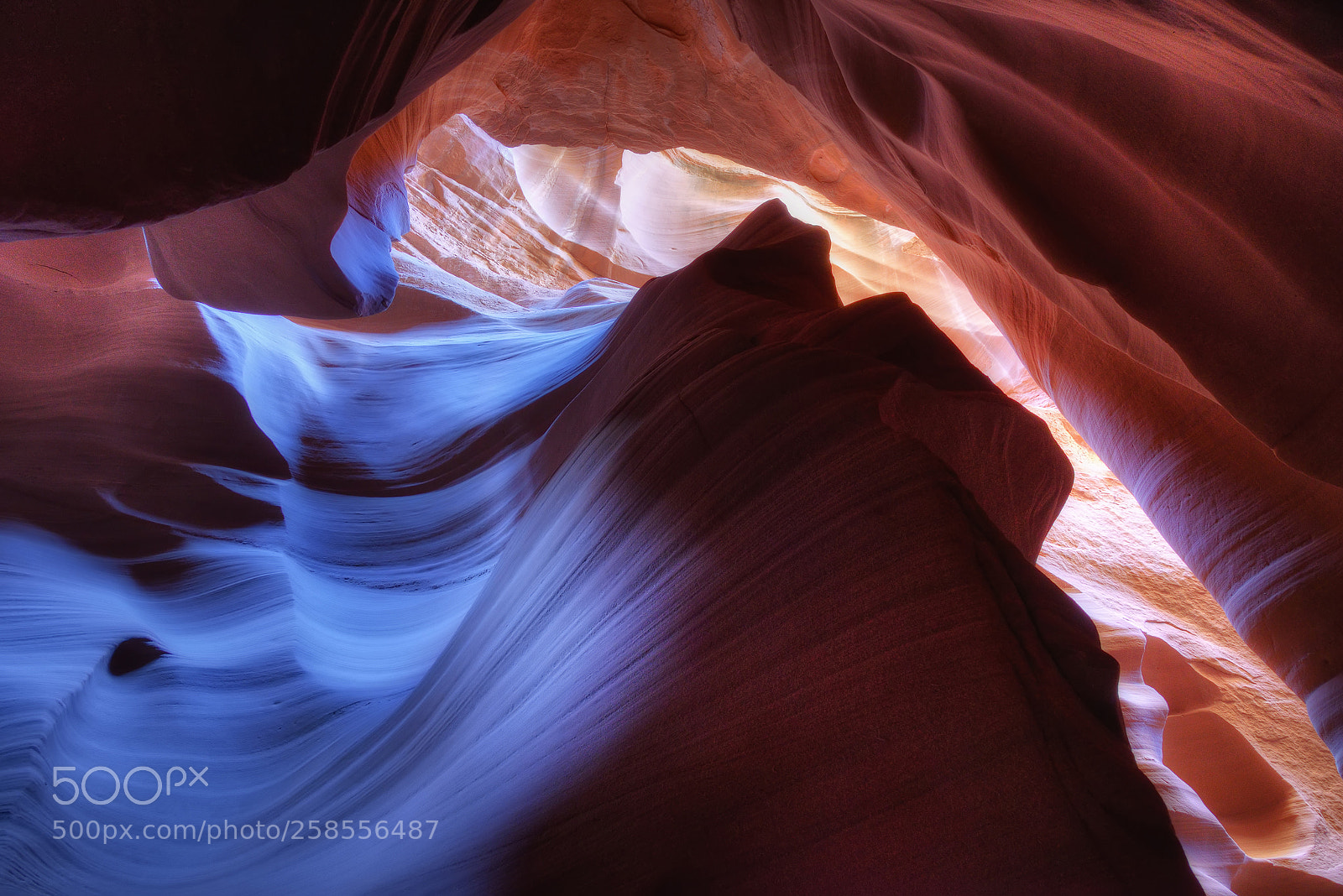 Nikon D750 sample photo. Pastel photography
