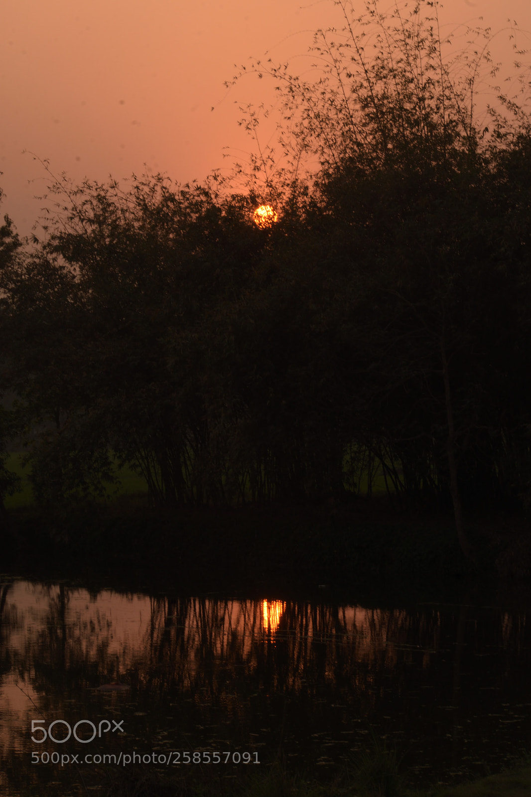 Nikon D3400 sample photo. Nature photography