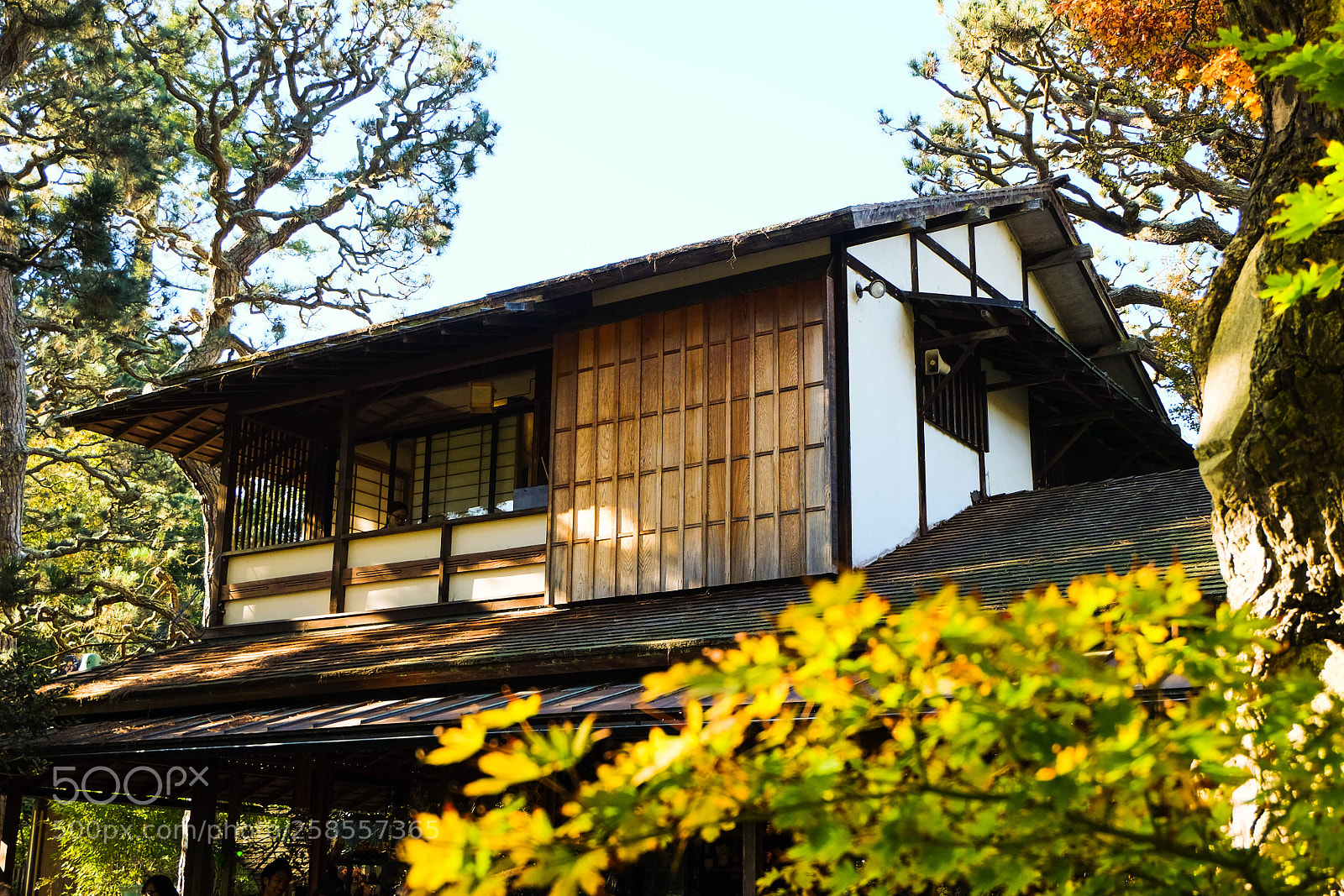 Fujifilm X-M1 sample photo. House of the rising photography