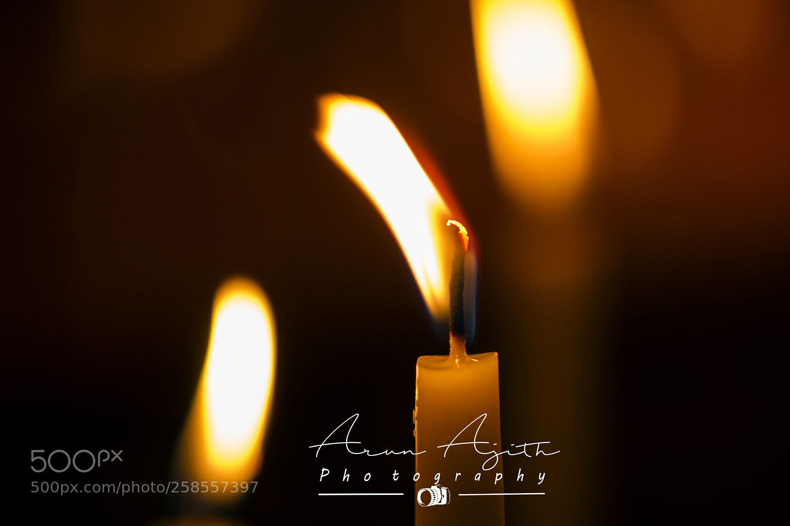 Sony Alpha DSLR-A850 sample photo. Untitled photography