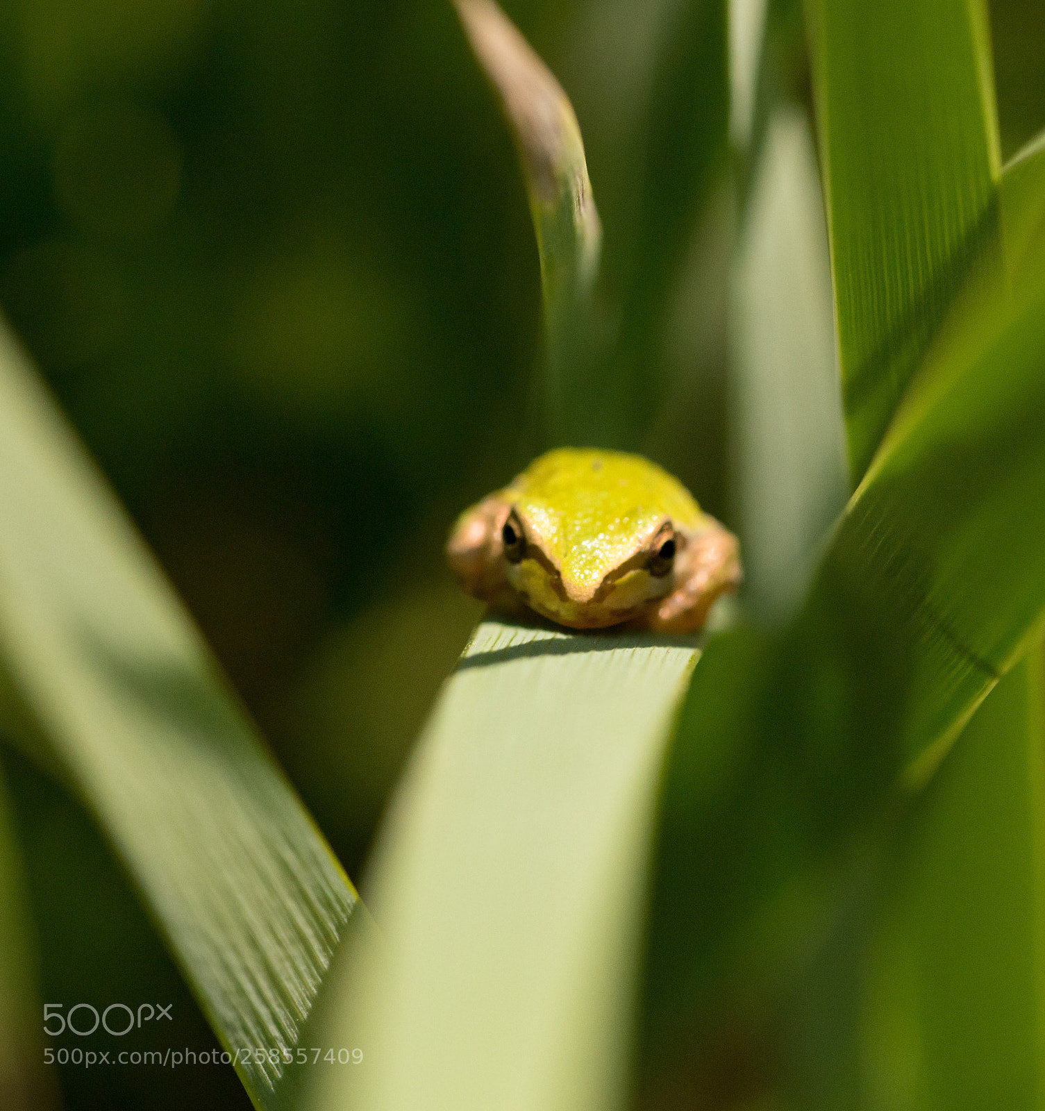 Nikon D800 sample photo. Untitled photography