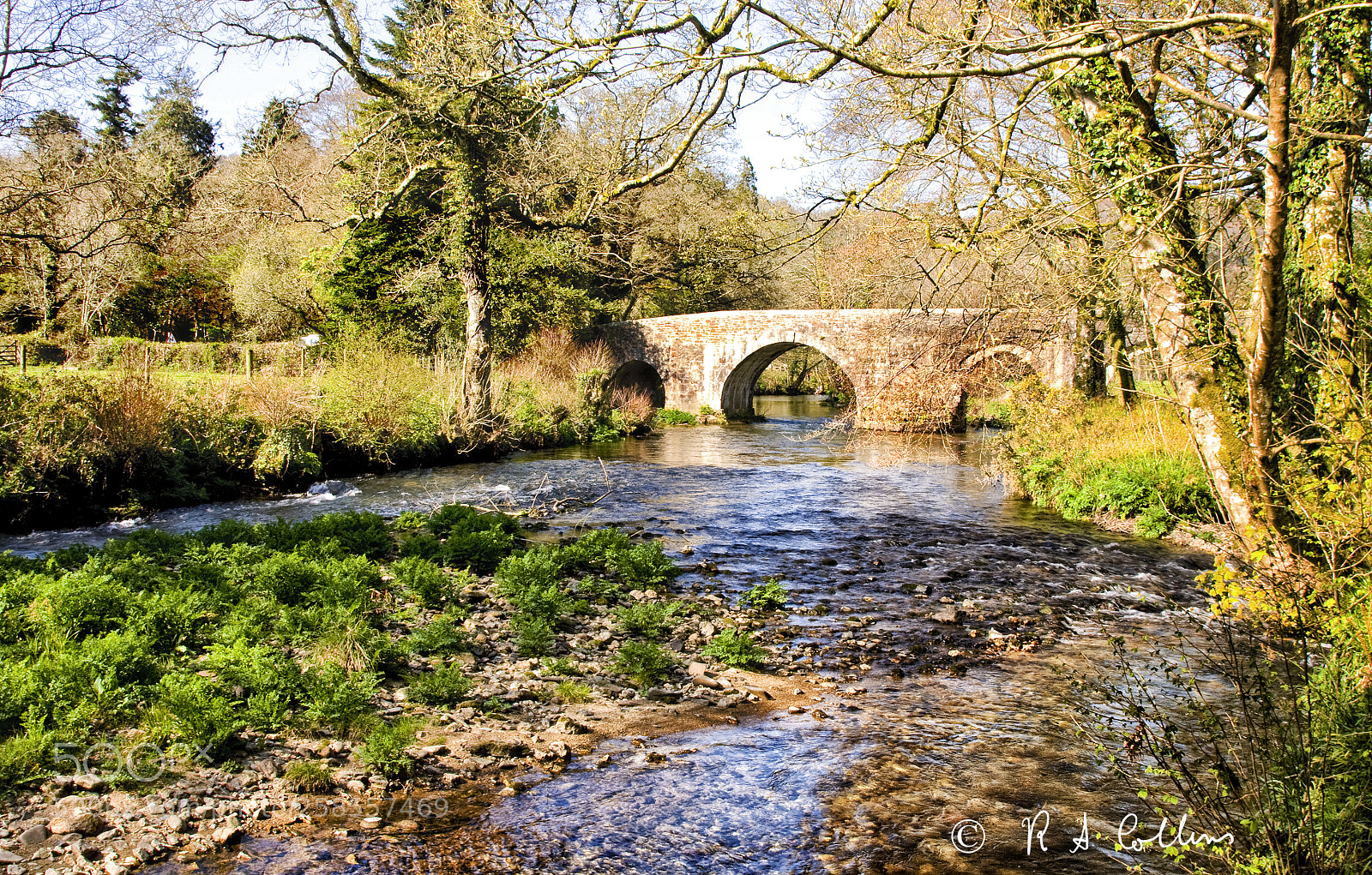 Canon EOS 40D sample photo. River fowey nr. lanhydrock photography
