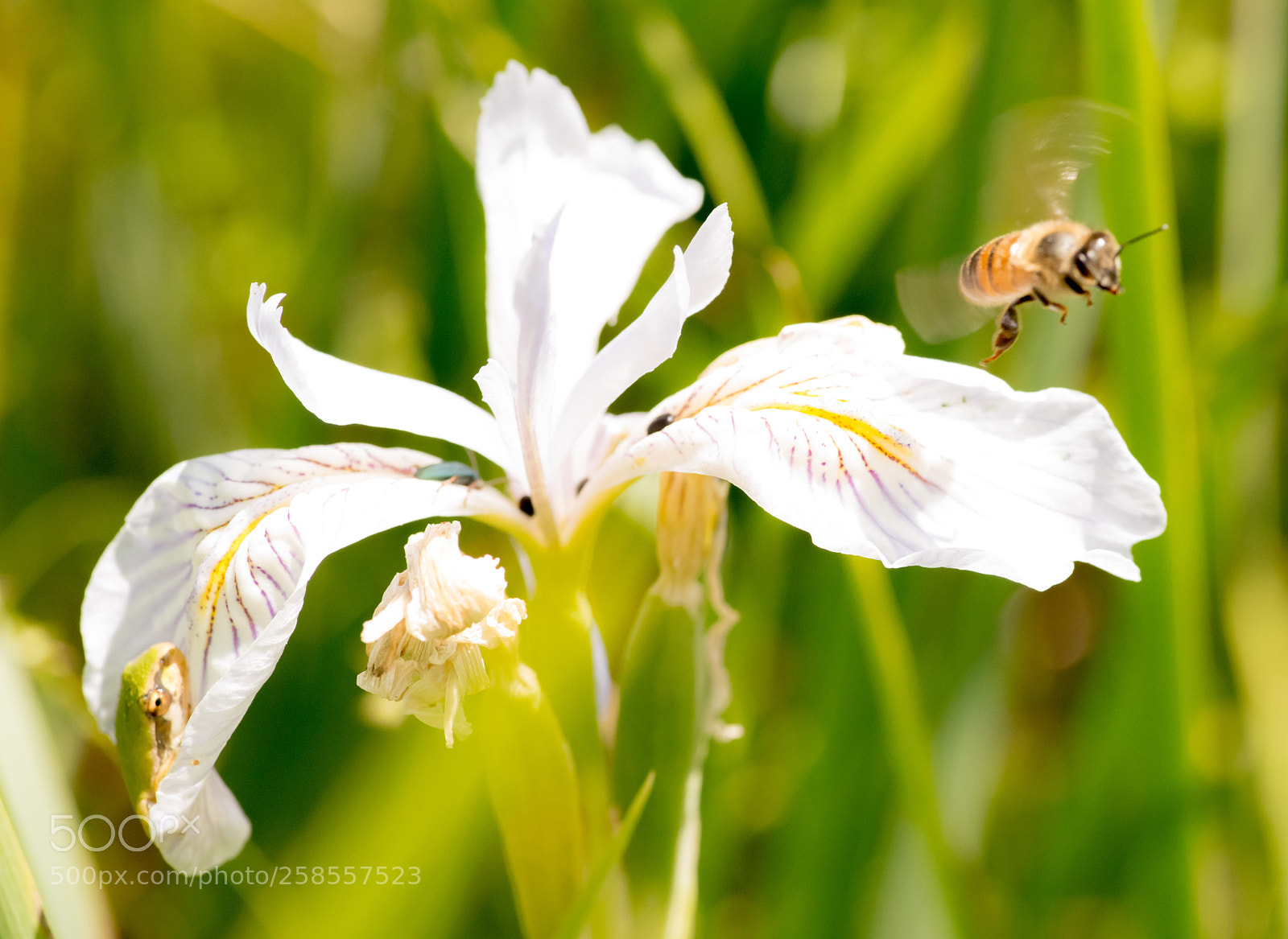 Nikon D800 sample photo. Untitled photography