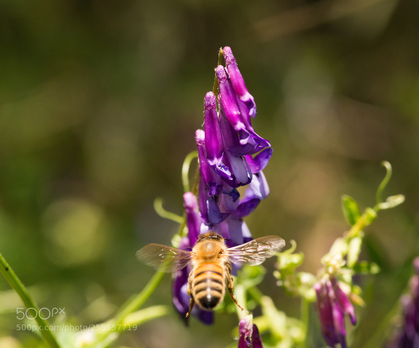 Nikon D800 sample photo. Untitled photography