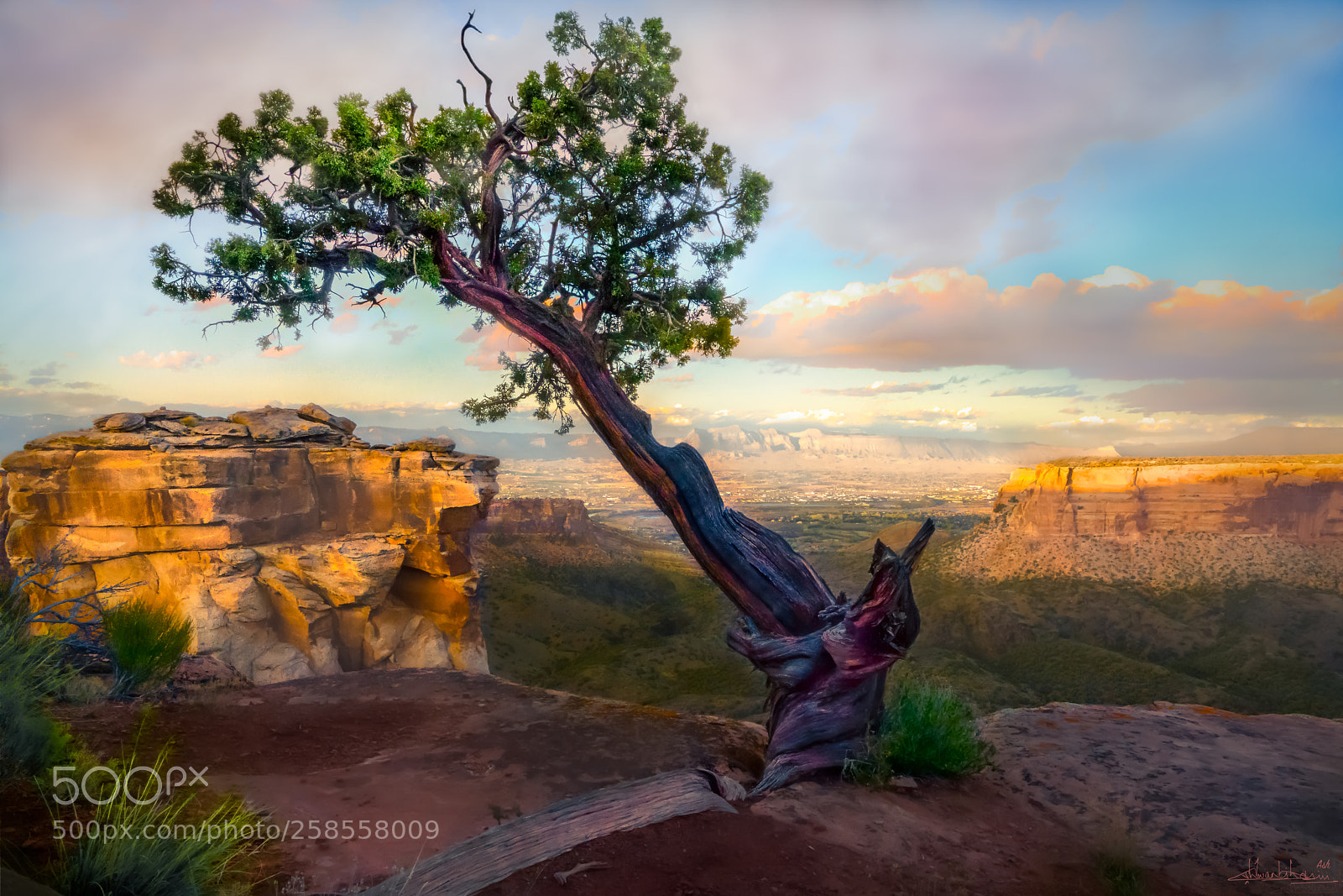 Sony a7R II sample photo. On the rocks photography