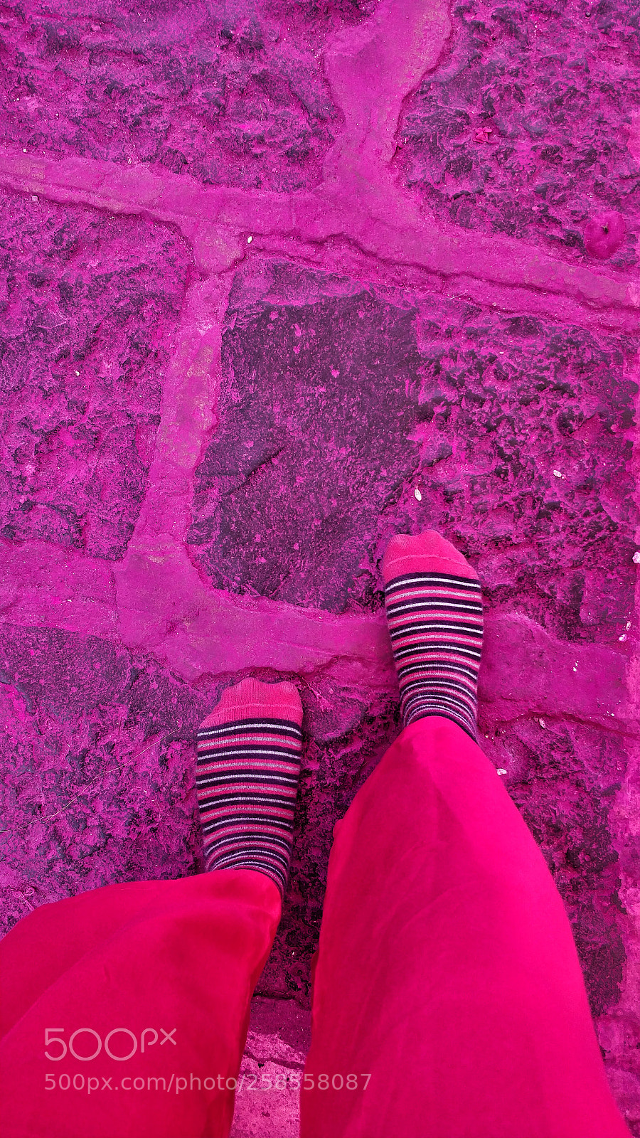 OnePlus 5 sample photo. Pink photography