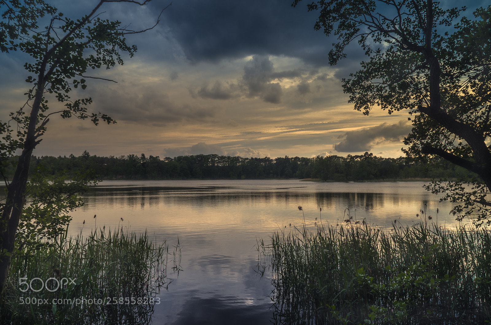 Pentax K-5 sample photo. Before storm photography