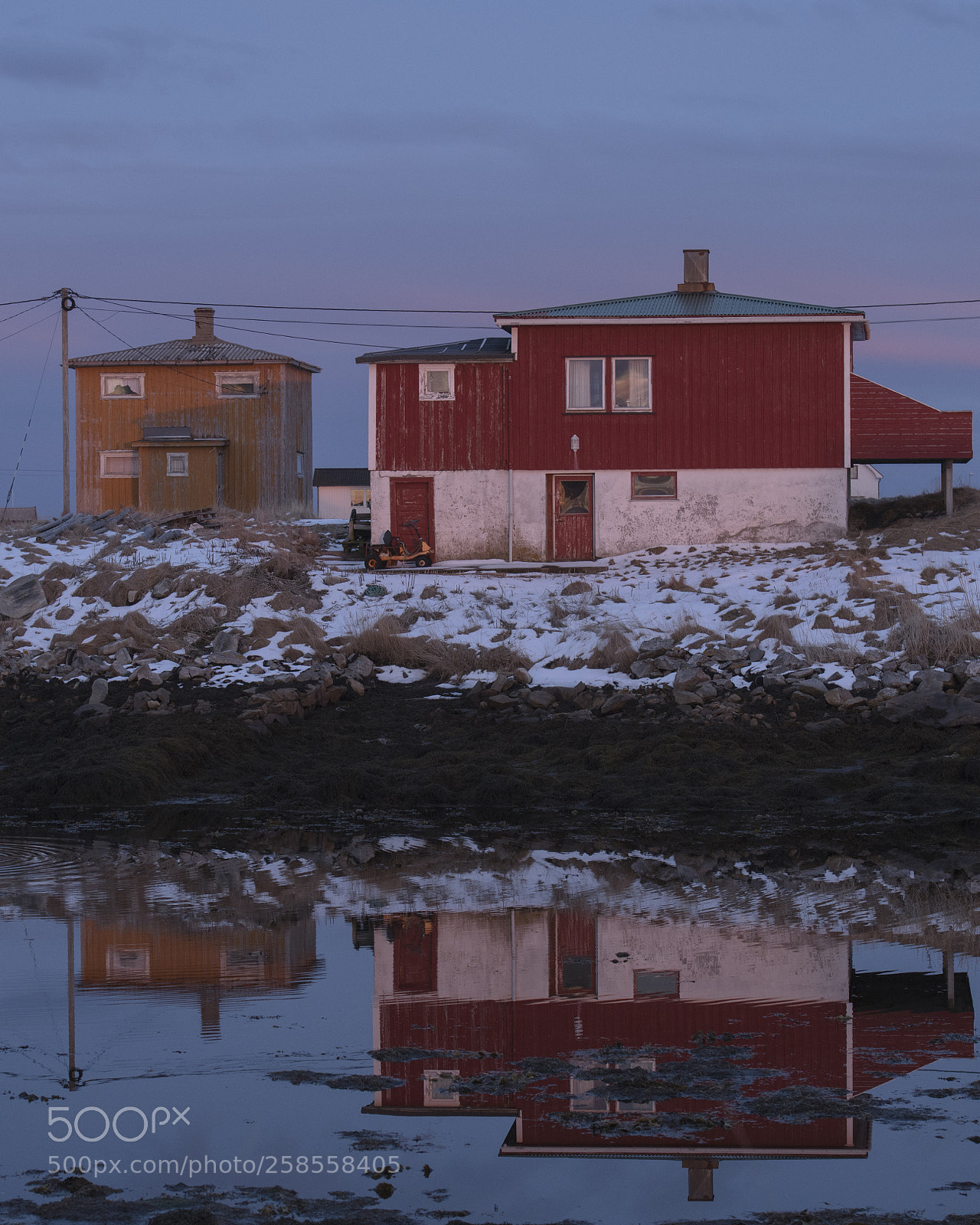 Nikon D850 sample photo. Husene på røst photography
