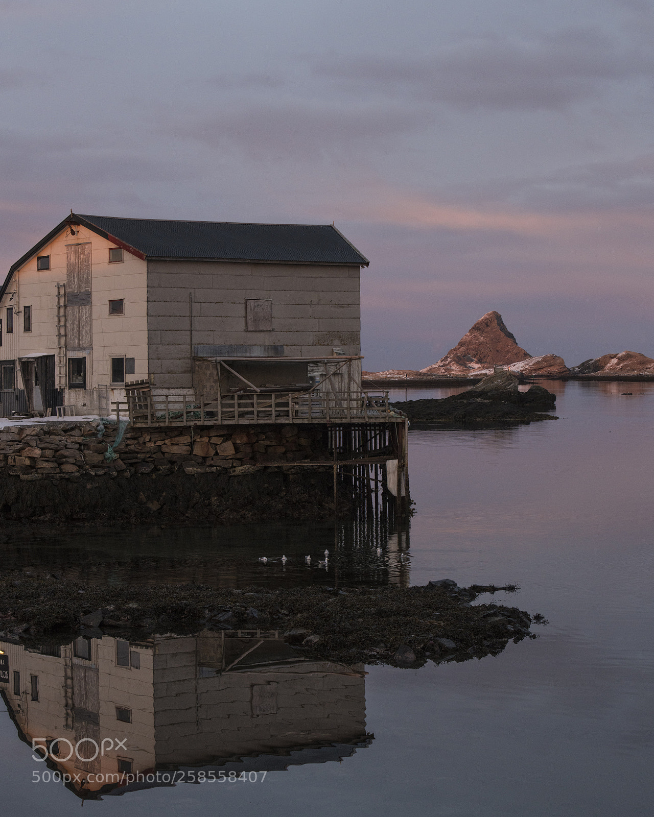Nikon D850 sample photo. Brygga til tor photography