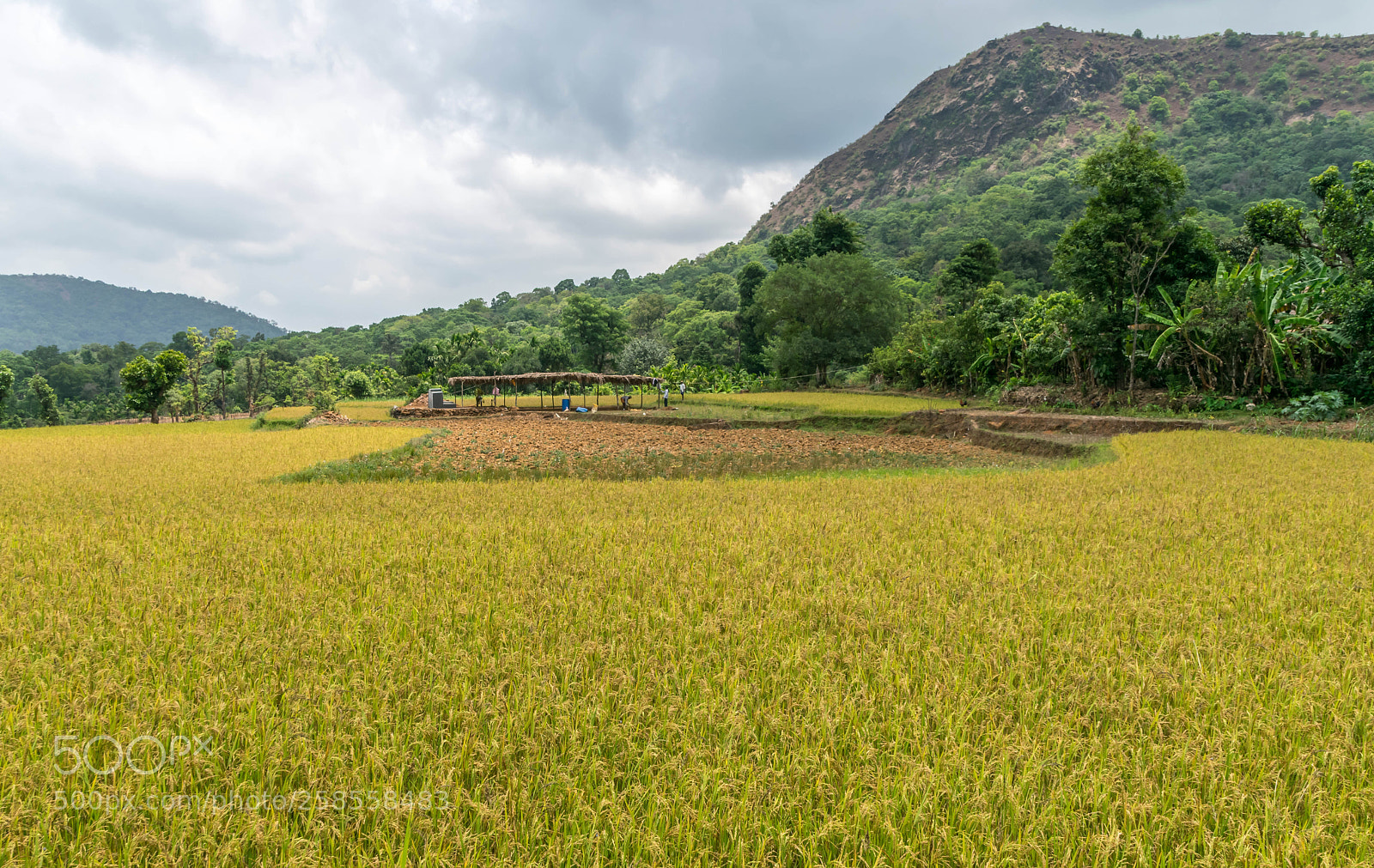 Nikon D3300 sample photo. Picturesque landscape photography
