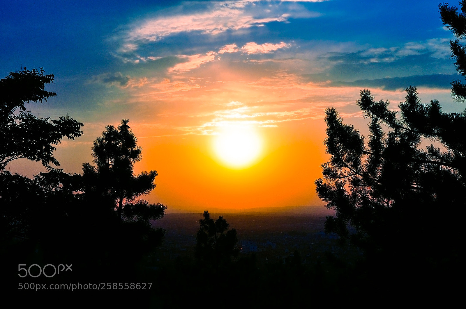 Nikon D90 sample photo. Sky and sun photography