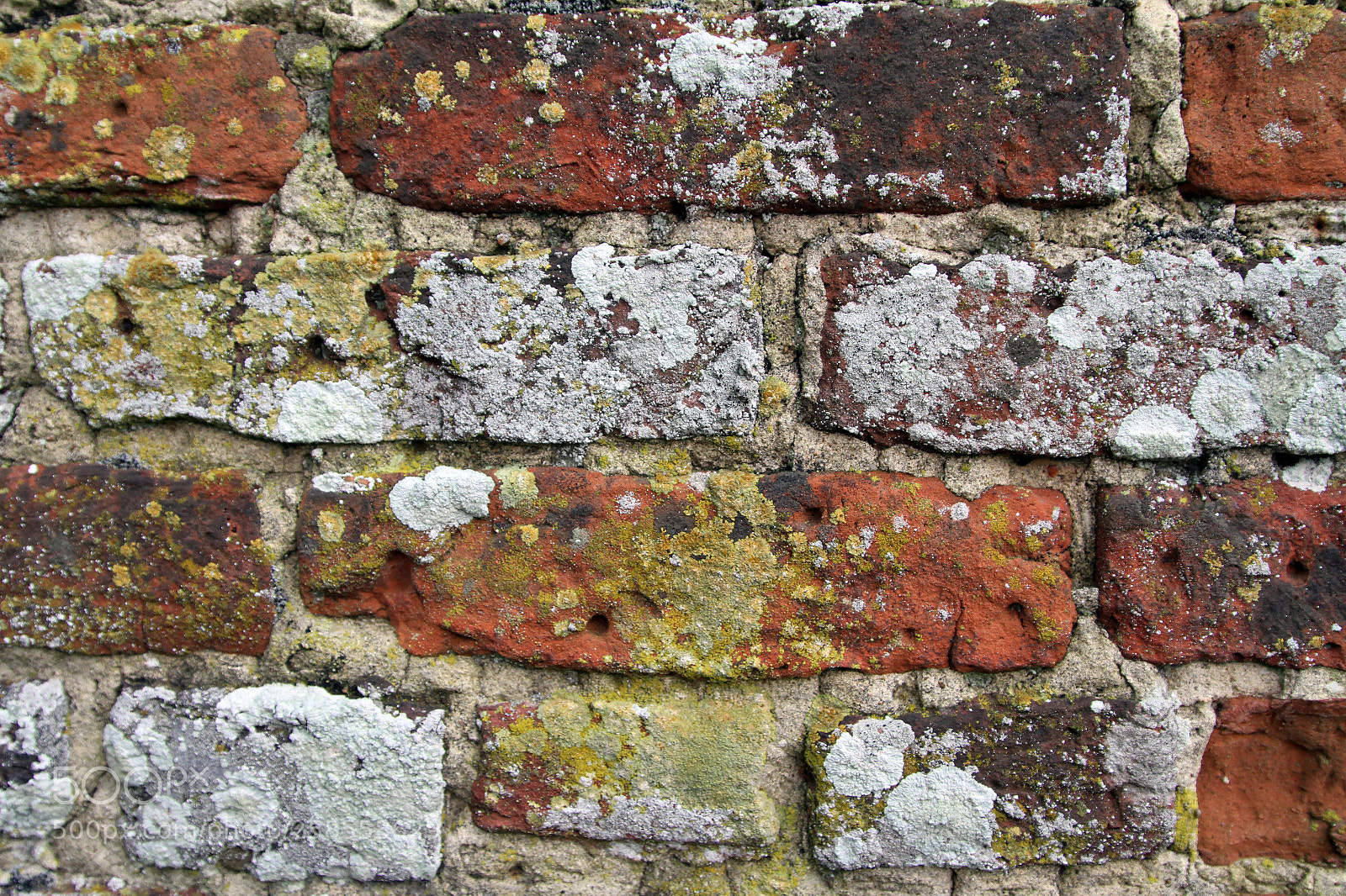 Canon EOS 7D sample photo. 600-year-old brick wall photography