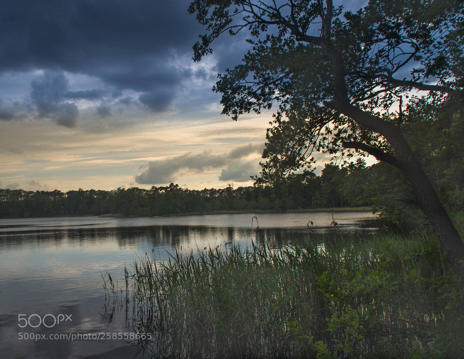 Pentax K-5 sample photo. Before storm photography