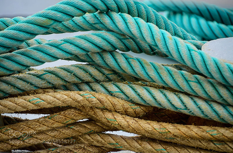 Nikon D7000 sample photo. Intertwined rope… photography