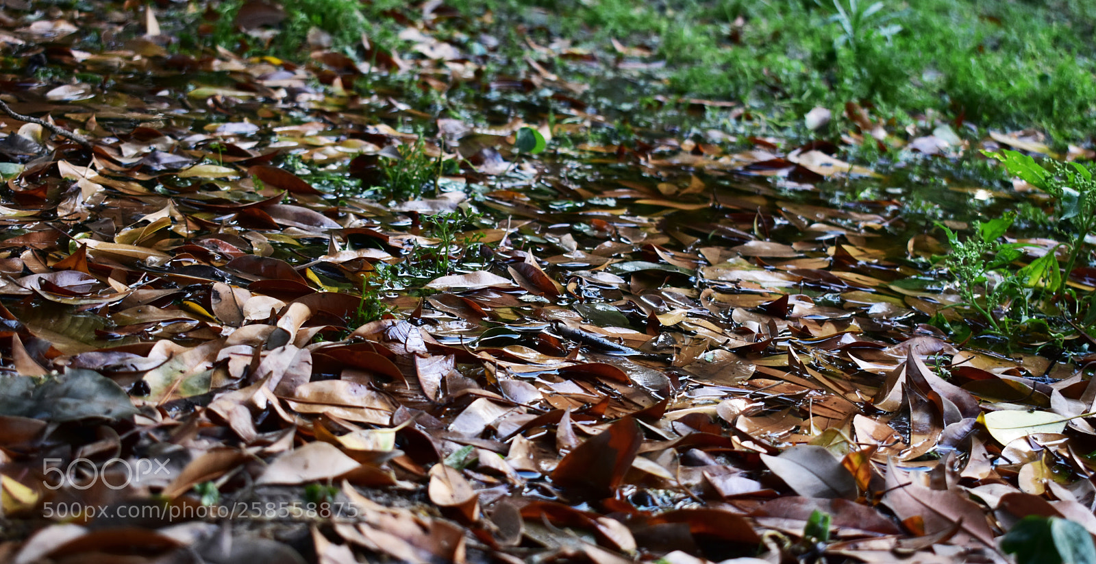 Nikon D3400 sample photo. Dsc photography